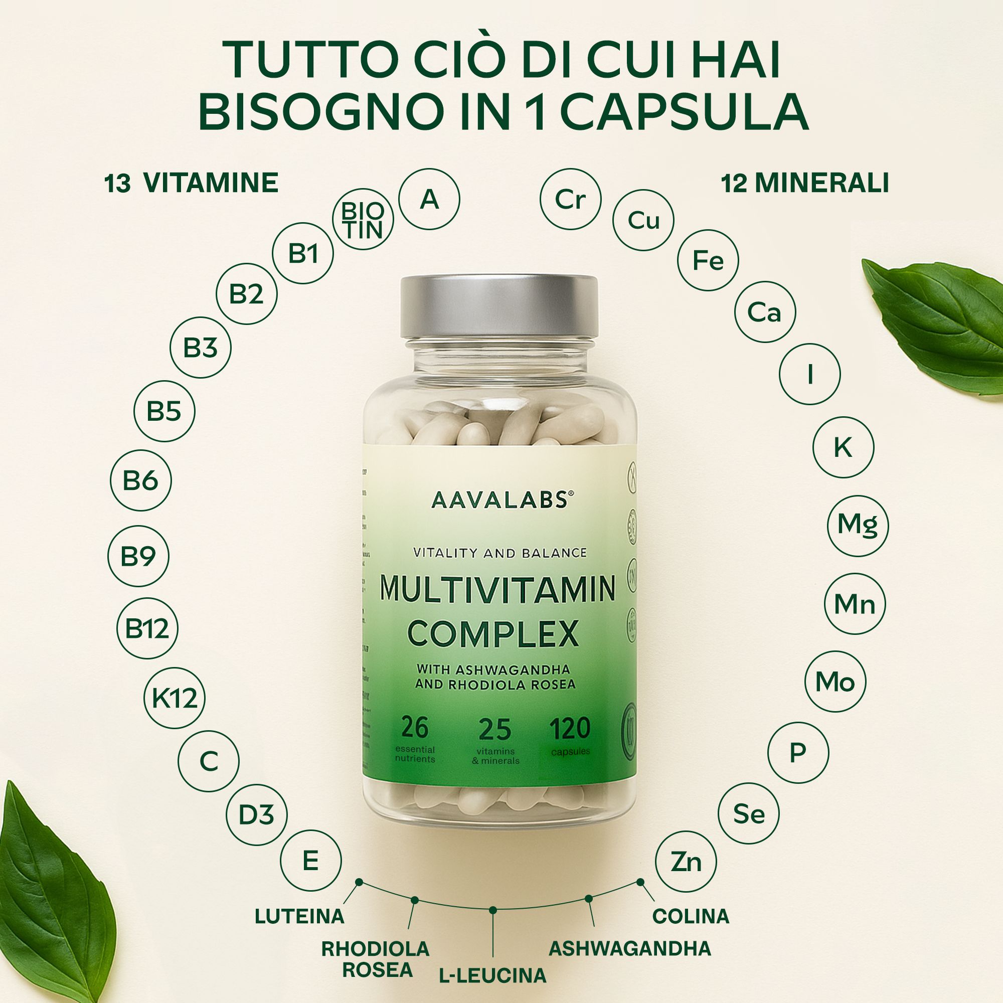 Grafica con flacone e vitamine. Scritta: AAVALABS, MULTIVITAMIN COMPLEX. 13 vitamine, 12 minerali. Contiene Ashwagandha.