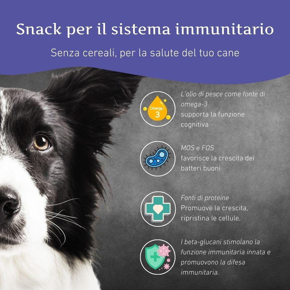 Cane con testo e icone. Testo: Snack per il sistema immunitario. Icone: Omega-3, Batteri, Cellule. Logo: Wildfang.