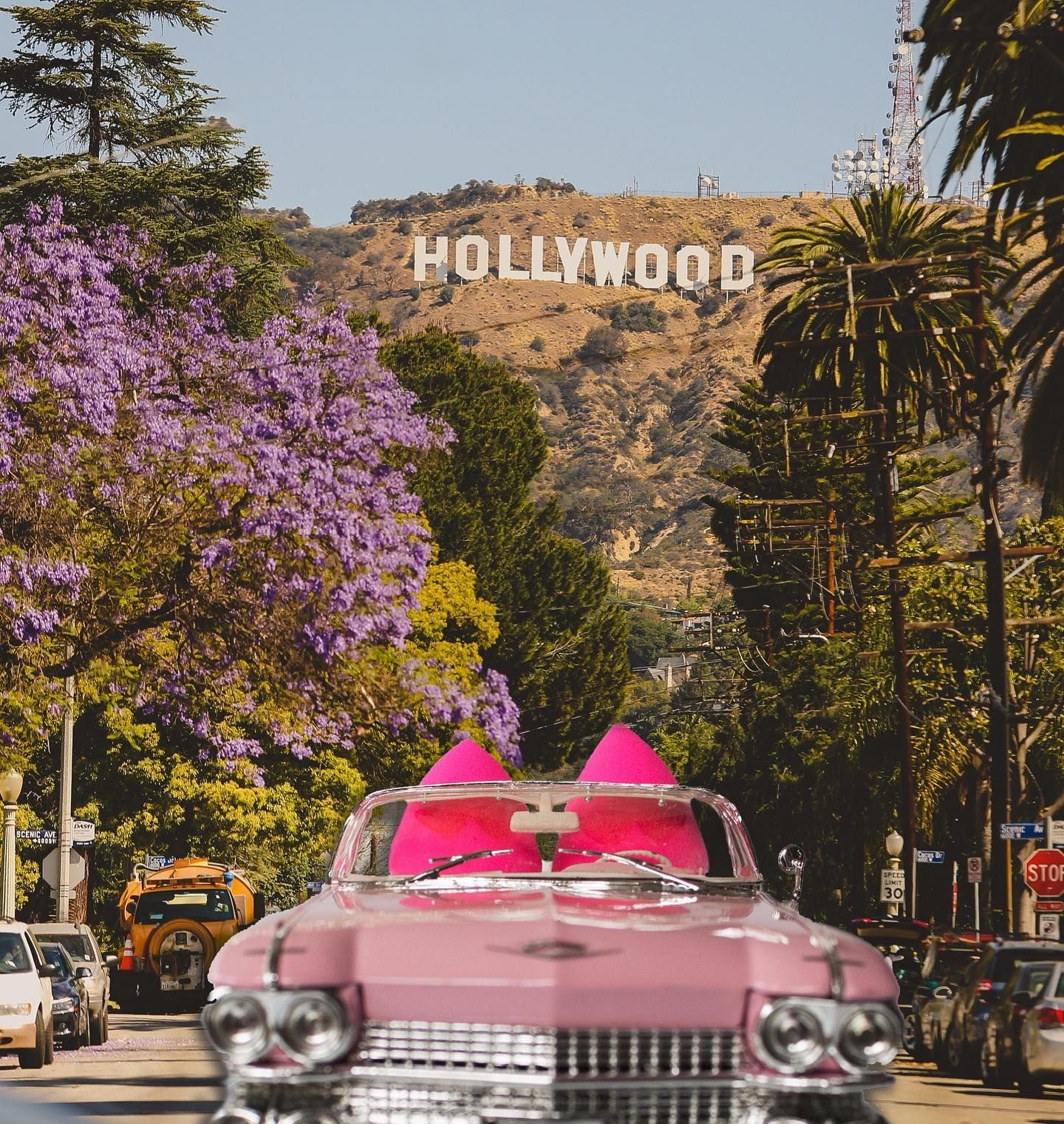 Auto d'epoca rosa con fiocco davanti al cartello Hollywood. Alberi e arbusti fioriti lungo la strada.