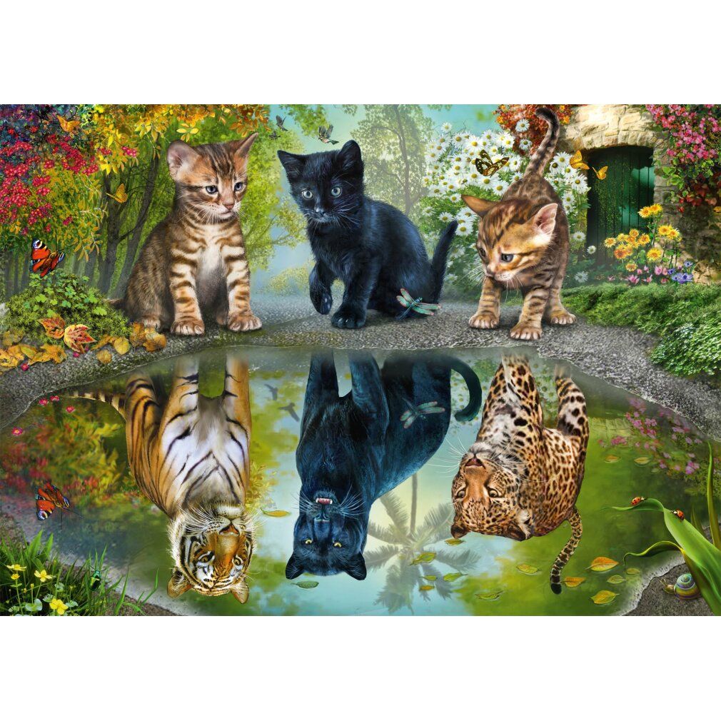 schmidt Puzzle Dream Big 1000 pezzi