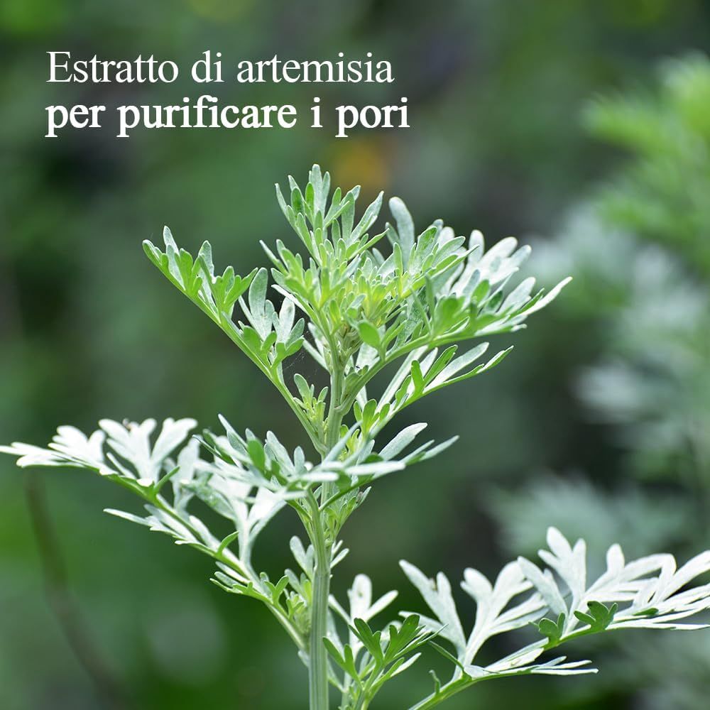 Pianta verde. Testo: Estratto di artemisia per purificare i pori.