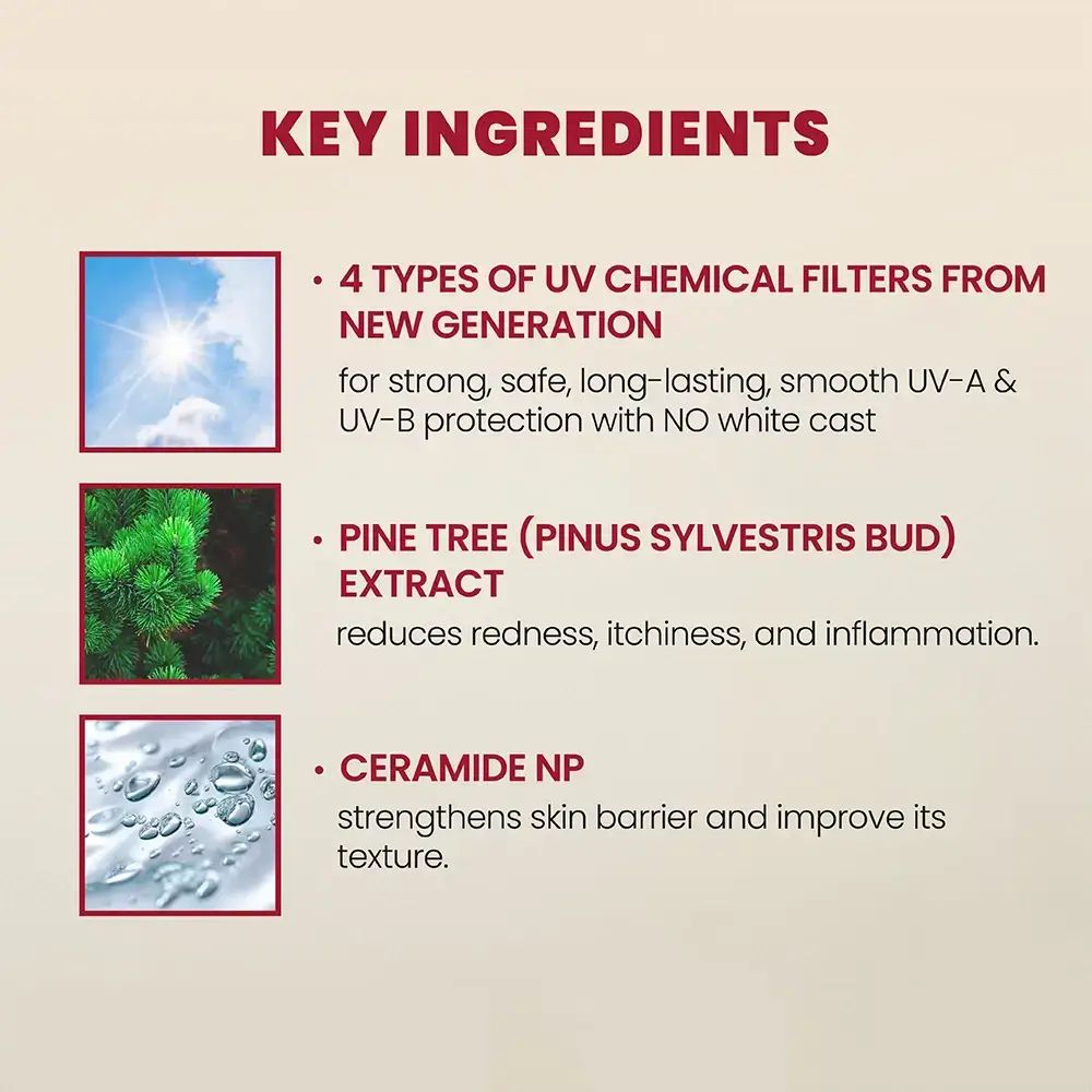 Infografica con ingredienti: filtri UV, estratto di pino, ceramidi. Testo in inglese.