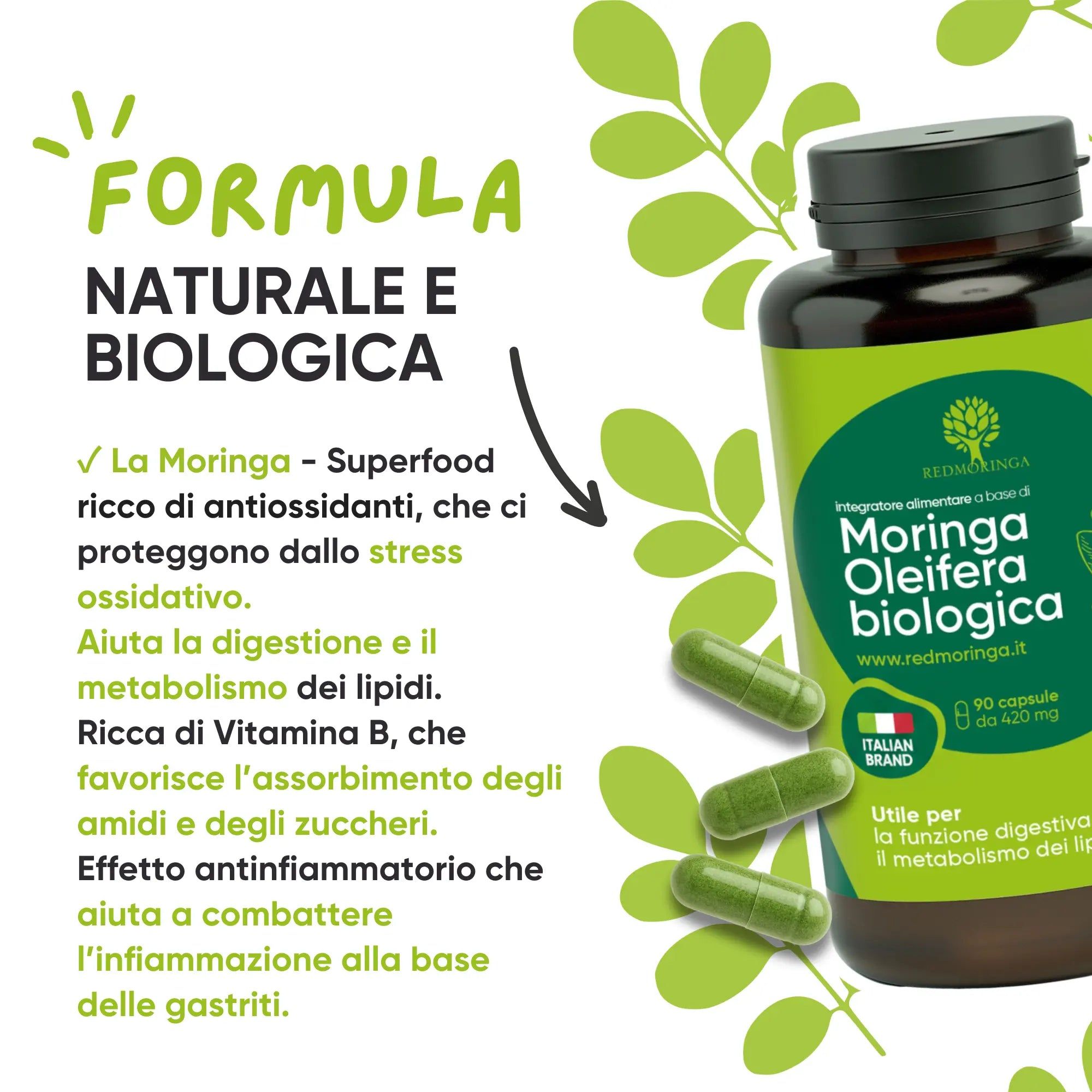 Una bottiglia di capsule verdi e testo. Testo: Formula, naturale e biologica. Contiene moringa, antiossidanti, vitamina B.