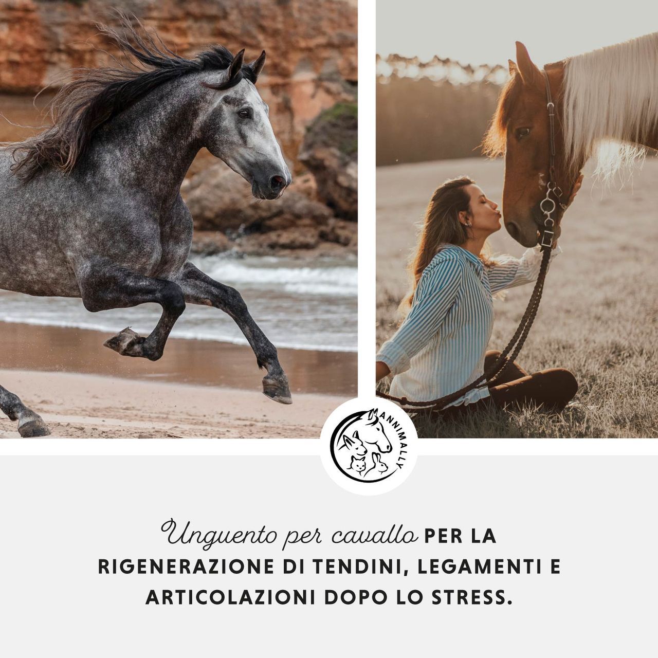 Foto di un cavallo sulla spiaggia. Logo. Testo: Unguento per cavallo per la rigenerazione di tendini, legamenti e articolazioni dopo lo stress.
