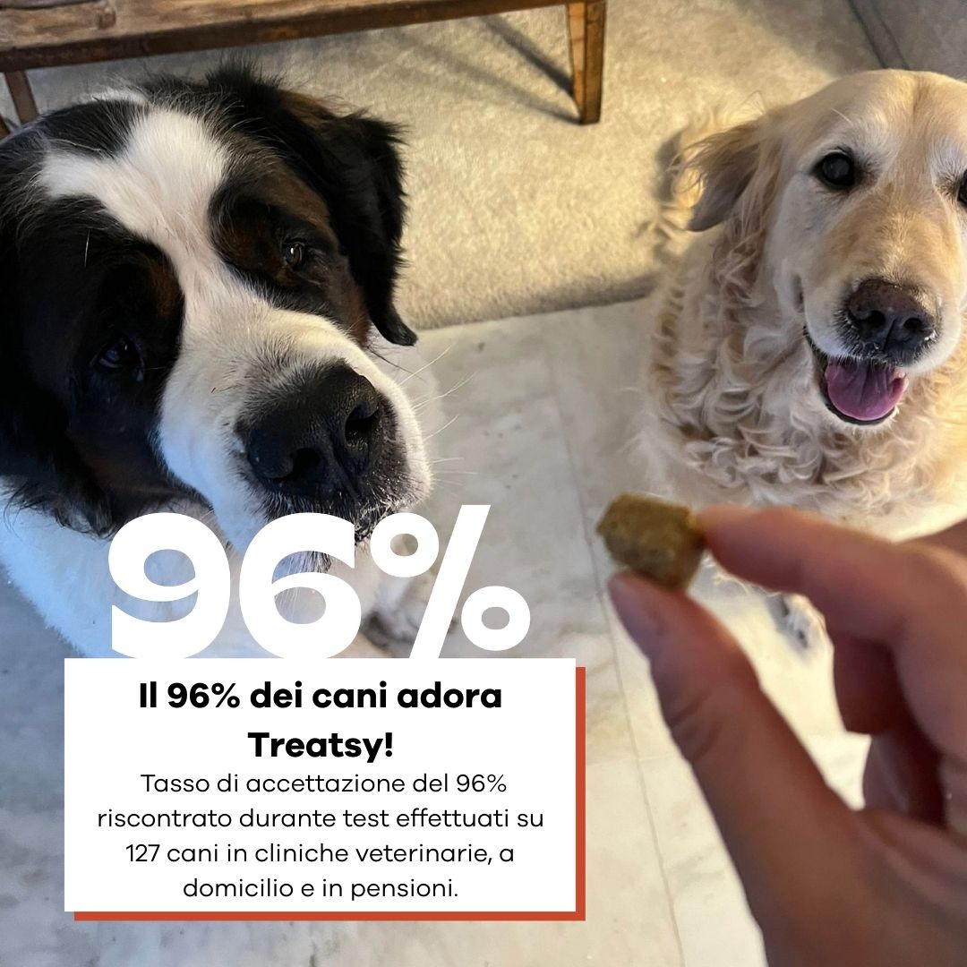 Due cani guardano la fotocamera. Mano che tiene uno snack. Testo: Il 96% dei cani adora Treatsy!