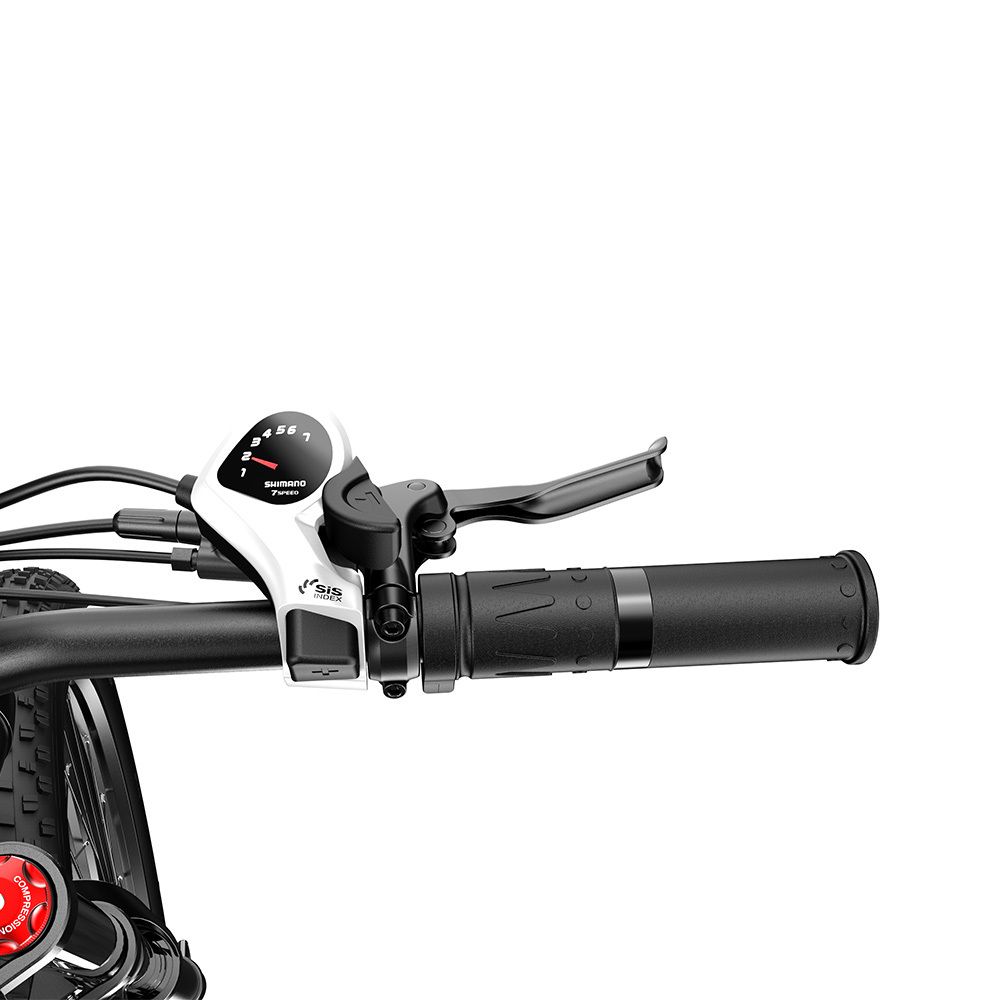 Manubrio della bici con comandi. Manubrio nero, pannello comandi bianco, impugnatura nera.