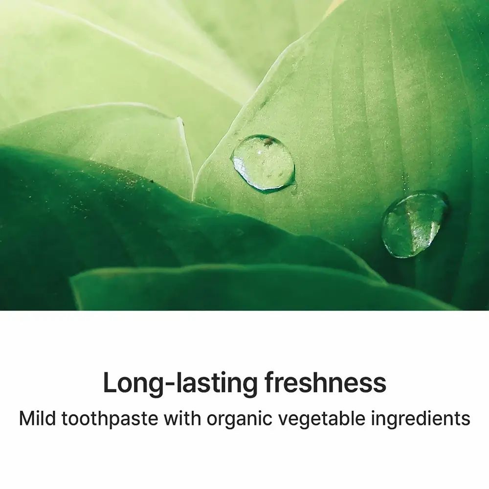 Foglie verdi con gocce d'acqua. Testo: "Long-lasting freshness", "Mild toothpaste with organic vegetable ingredients".