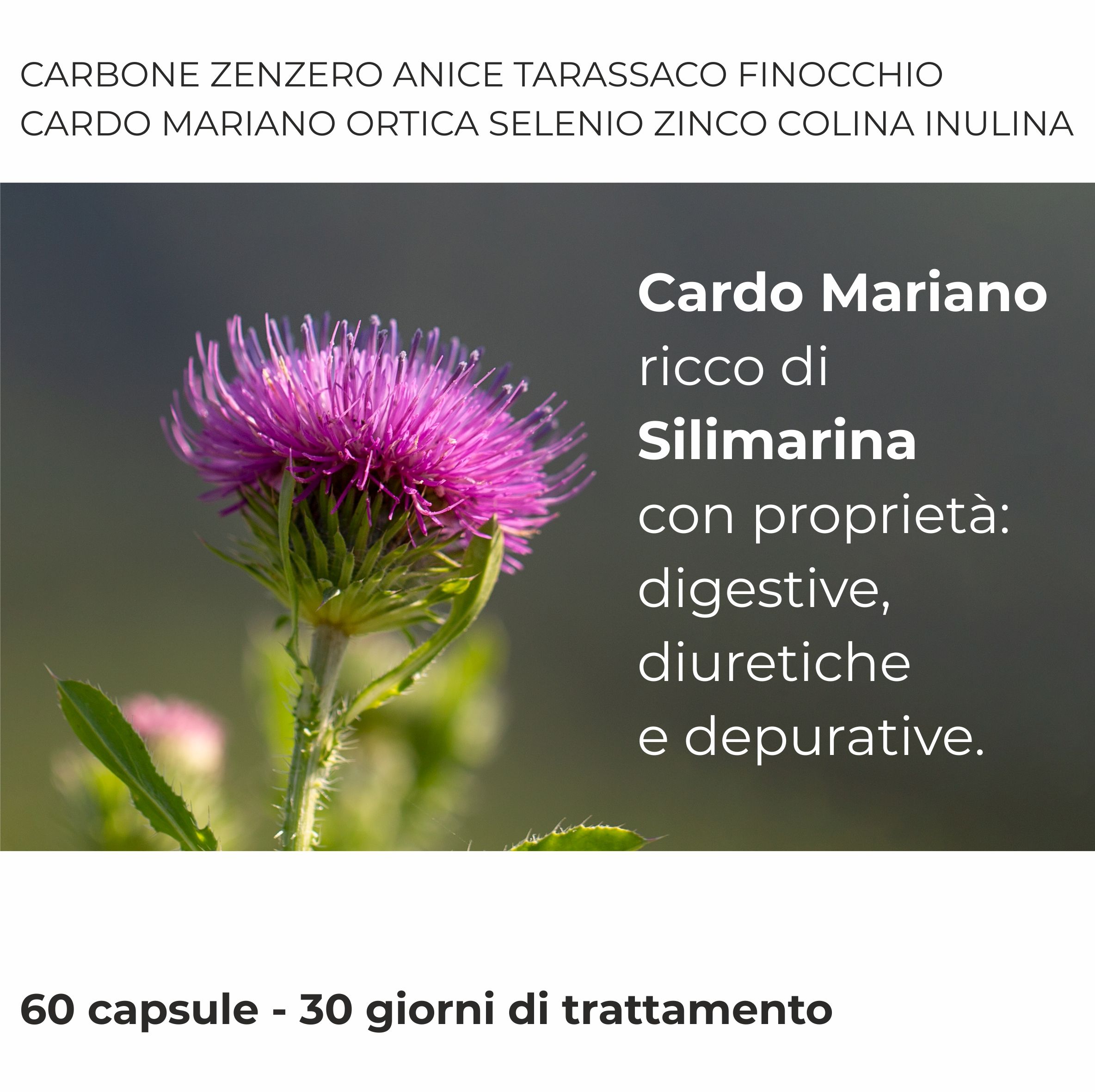 Detox Depura Fegato e Intestino 60 Capsule | Depurativo Fegato, Drenante Forte con Cardo Mariano