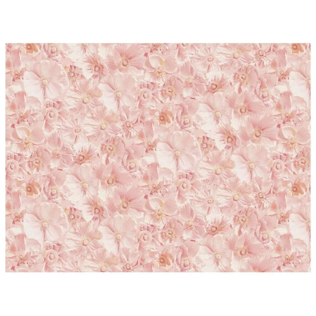 galison Puzzle bifacciale Ashley Woodson Bailey 500 pezzi