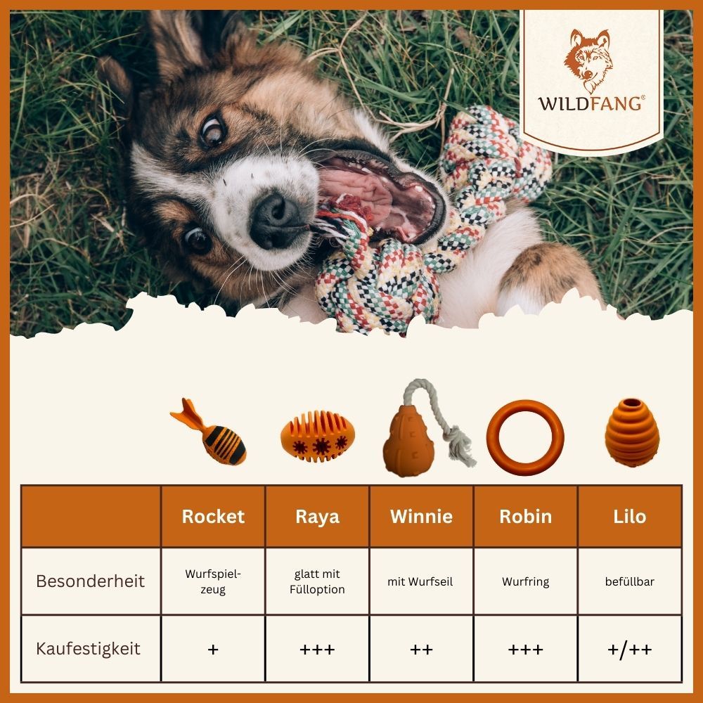 Cane con diversi giocattoli. Anello di dentizione "Raya" con borchie. Panoramica dei prodotti con raccomandazione di acquisto.