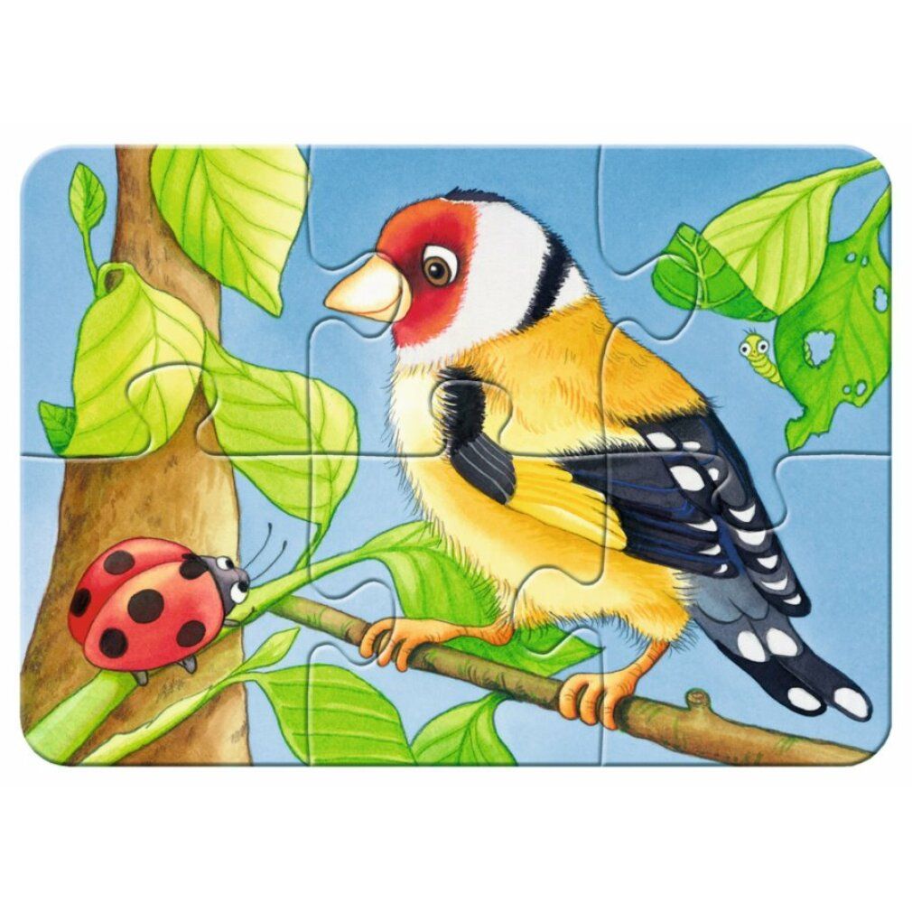 Scatola puzzle con quattro immagini di animali: riccio, ape, topo, uccello. Pezzi: 2, 4, 6, 8. Marca: Ravensburger. Età: 2+.