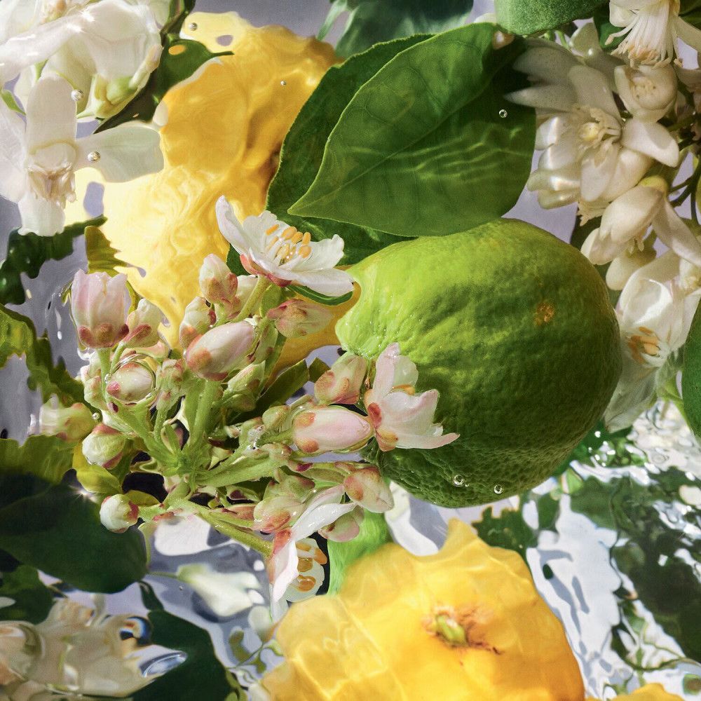 Primo piano di limoni, lime e fiori in acqua. Nessuna denominazione di prodotto visibile.