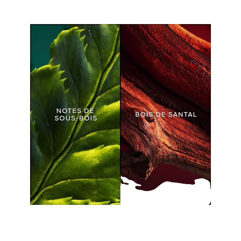 Due metà: lato sinistro foglia, lato destro legno. Testo: "NOTES DE SOUS-BOIS" e "BOIS DE SANTAL".