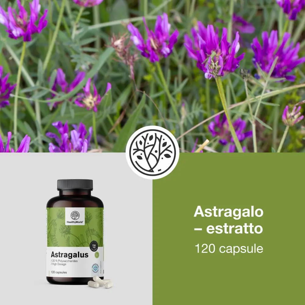 Bottiglia di estratto di Astragalo davanti a fiori e foglie viola. Accanto, una bottiglia e una pianta.