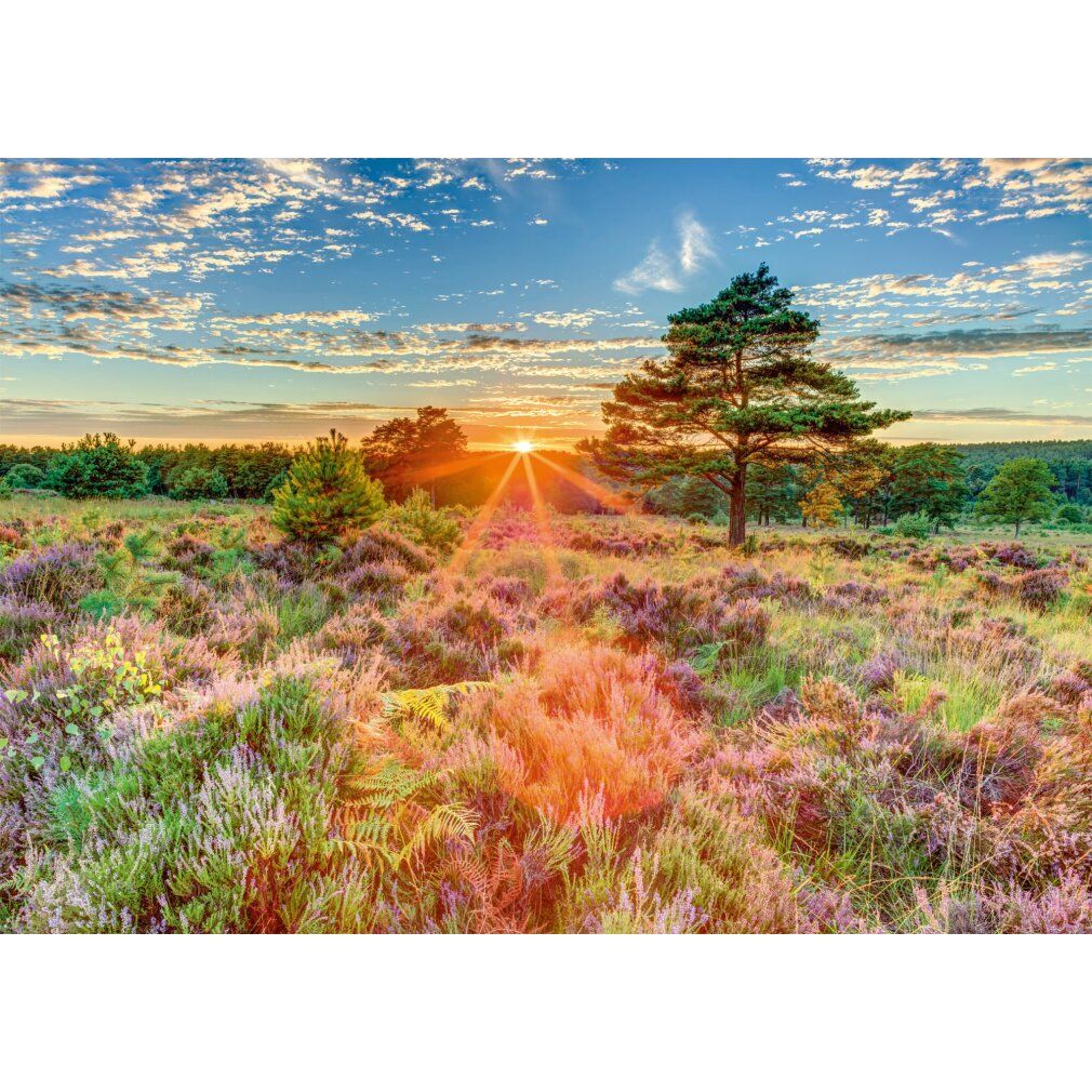 schmidt Puzzle Tramonto su un pendio 1000 pezzi