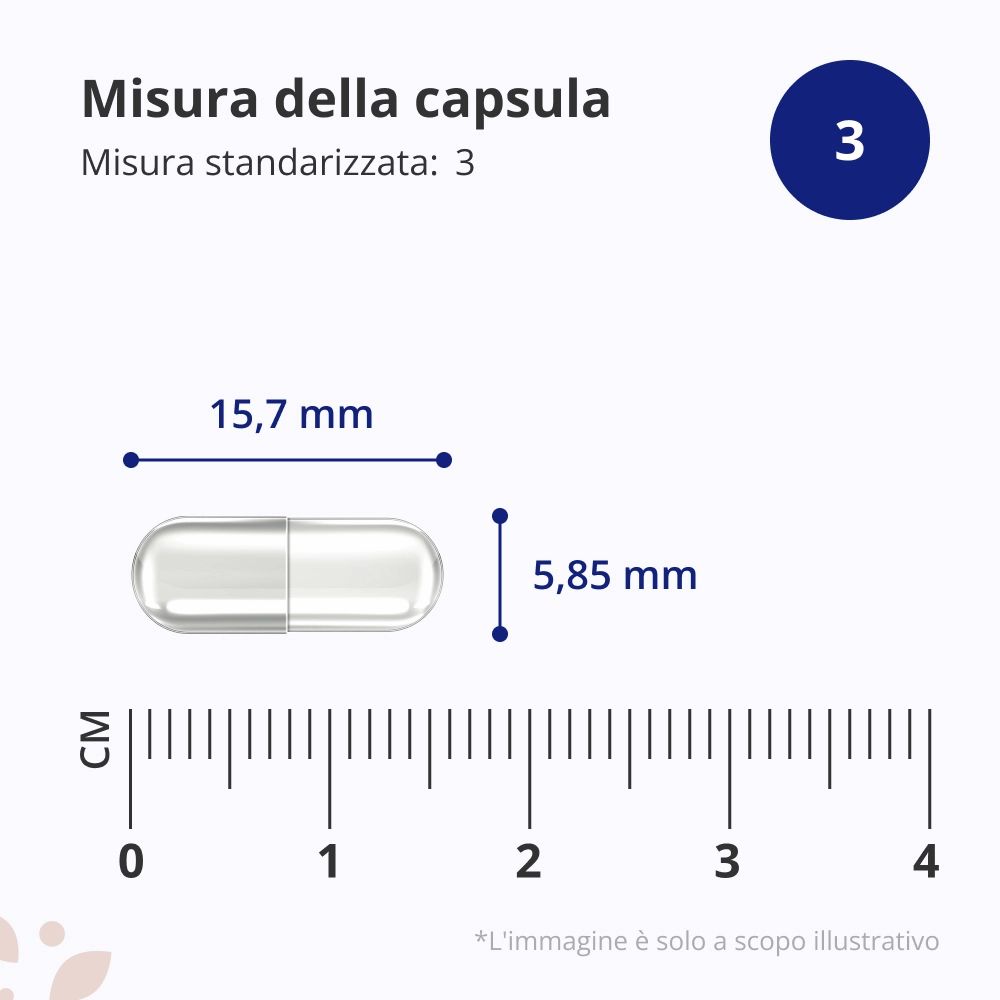 Huperzina A 200 µg. Flaconi marroni con capsule. Sfondo verde. Logo HealthyWorld.