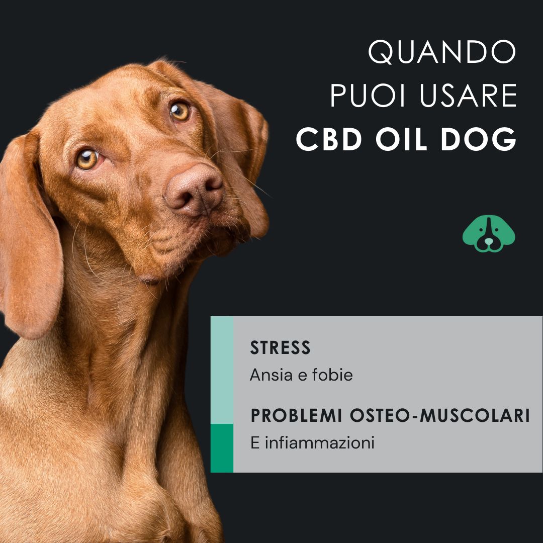 Flacone di olio CBD DOG. 0% THC, spettro completo, 100% naturale, adatto a tutte le taglie. Confronto.