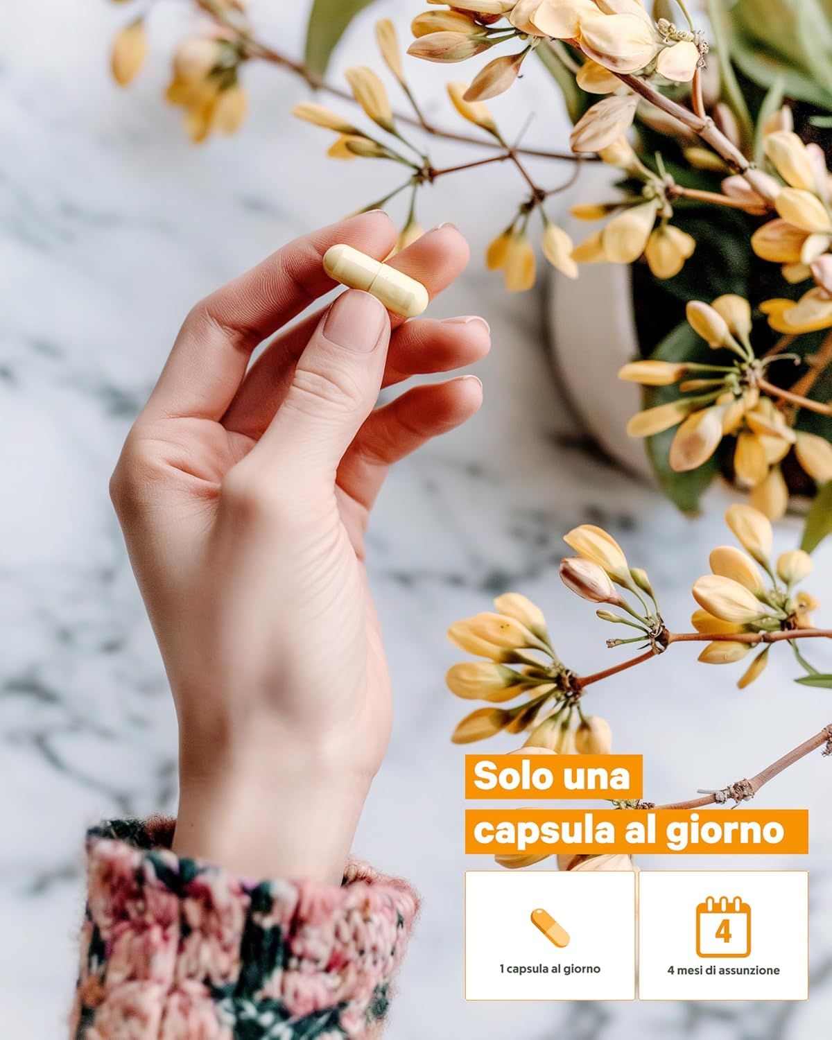 Flacone Nutri Brain Lion's Mane con capsule. Migliora capacità cognitiva, protezione neuronale, stabilità dell'umore.