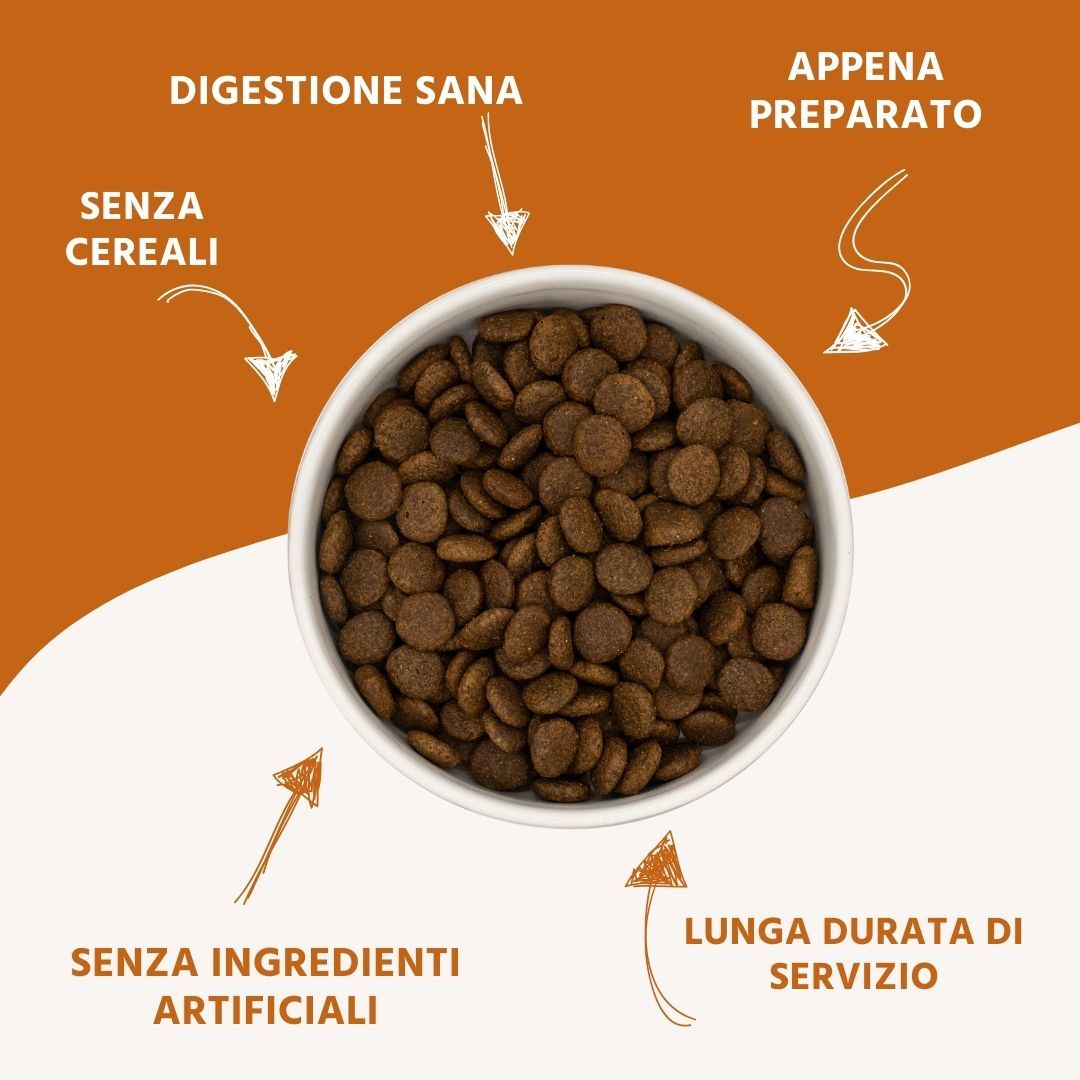Vista dall'alto di crocchette in una ciotola bianca. Frecce indicano: senza cereali, digestione sana, appena preparato, senza ingredienti artificiali, lunga durata.