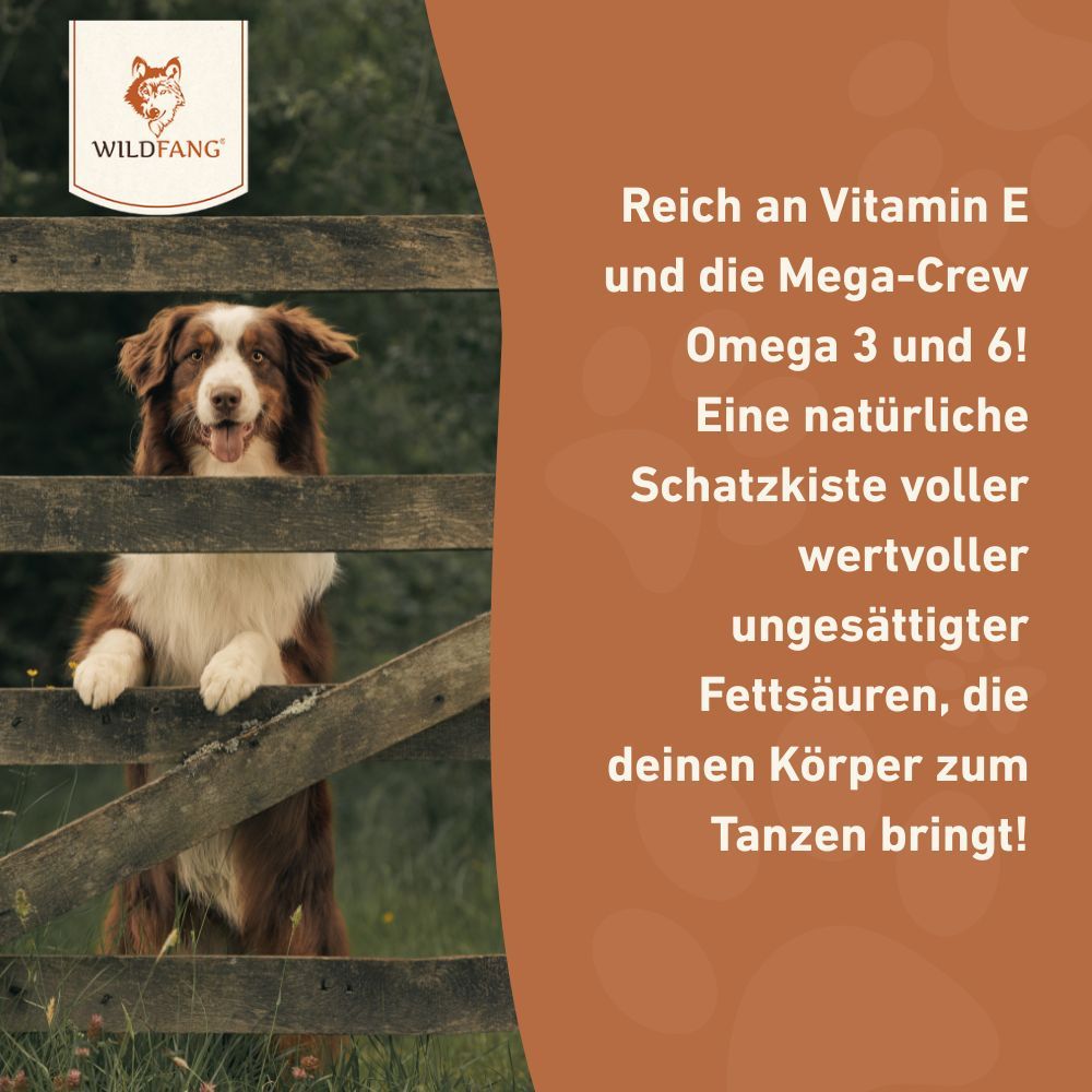 Wildfang - olio di salmone per cani