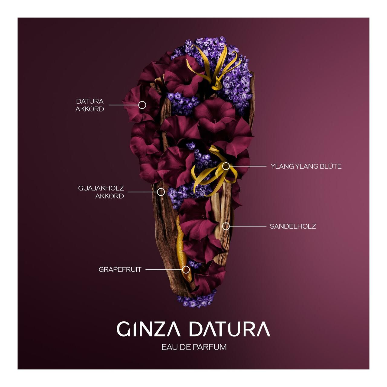 Grafica con elementi floreali e testo. Etichette: DATURA, GUAJAKHOLZ, YLANG YLANG, SANDELHOLZ, GRAPEFRUIT. Testo: GINZA DATURA Eau de Parfum.
