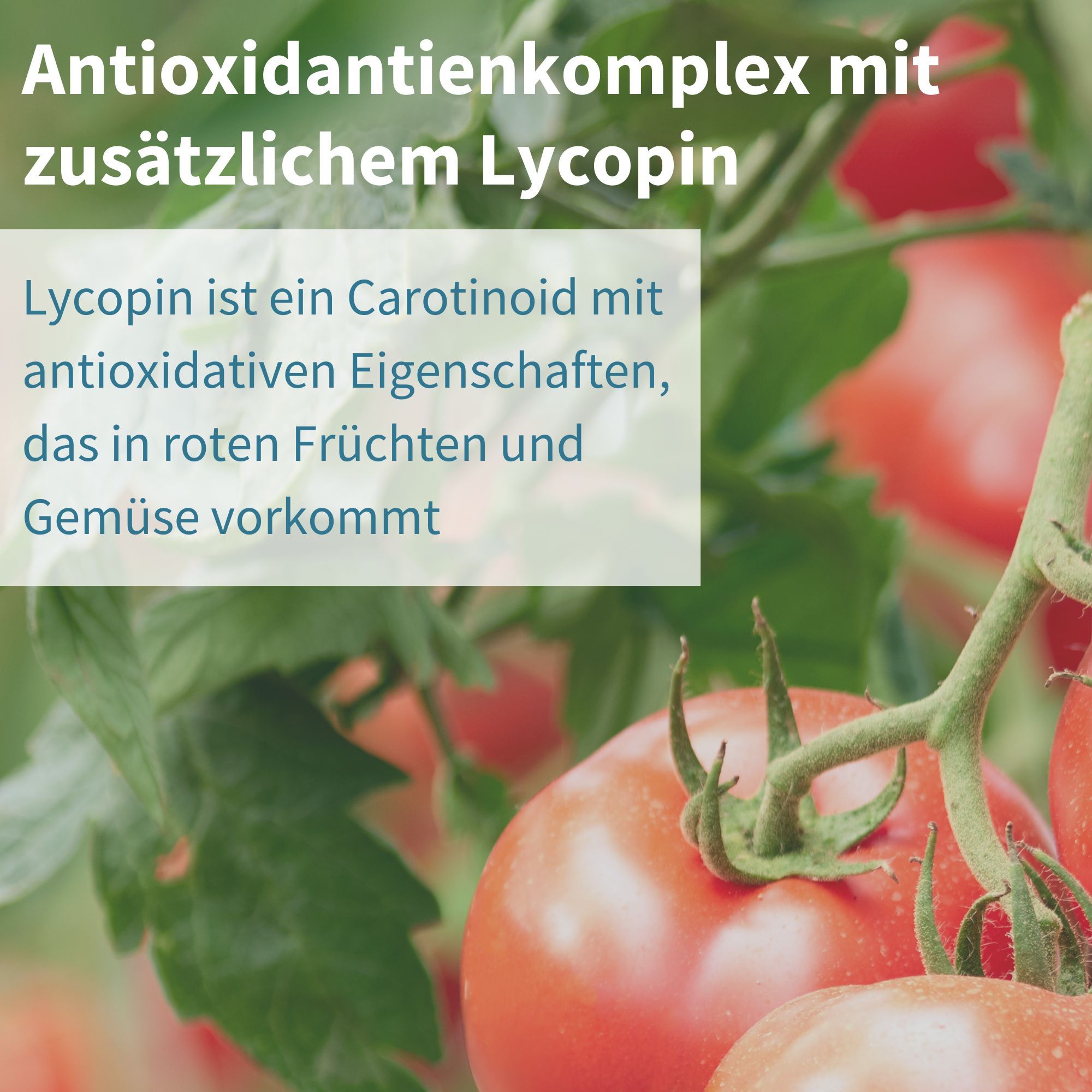 Complesso antiossidante con licopene aggiunto in Igennus Multivitaminici per Uomo.