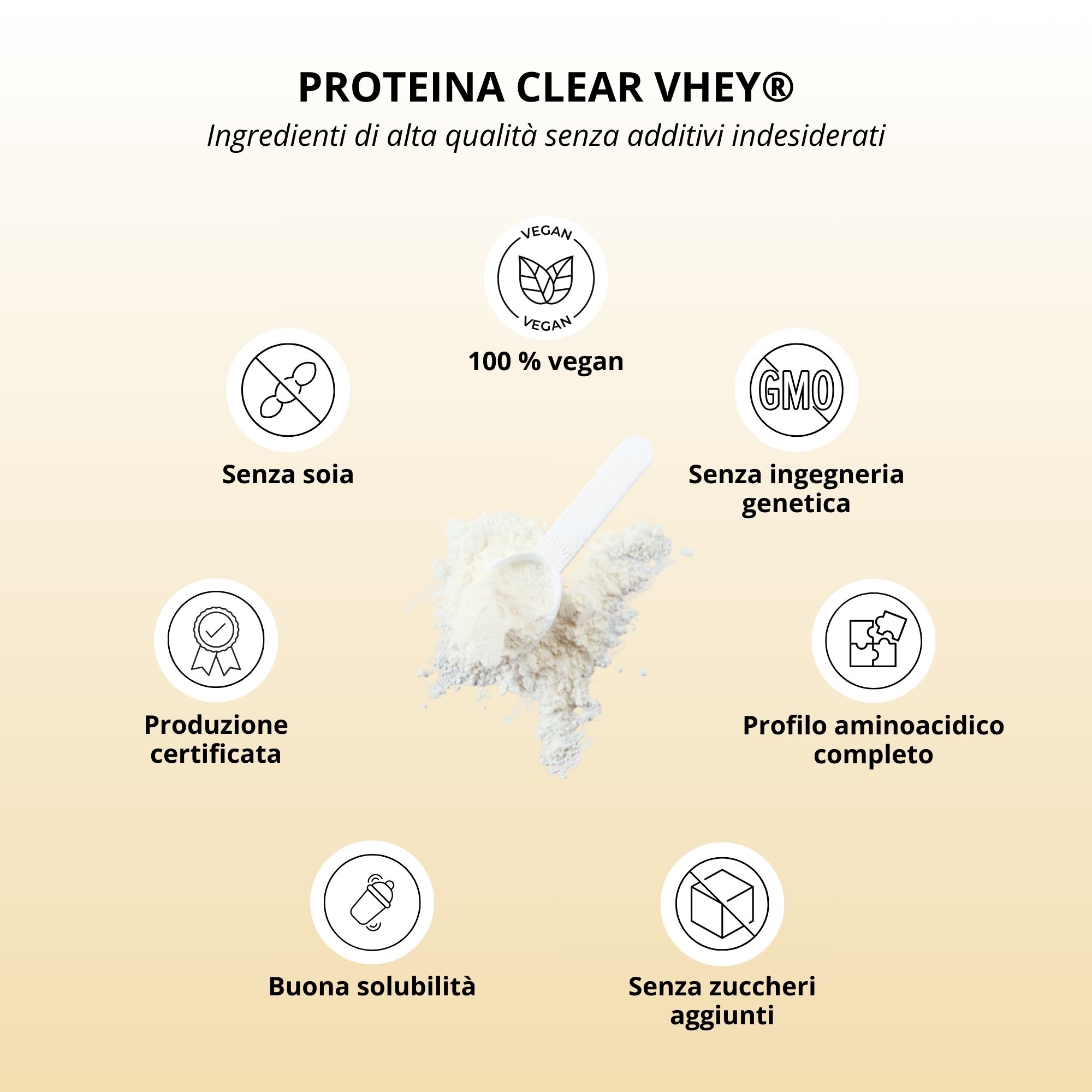Grafica con simboli: Vegano, senza soia, produzione certificata, buona solubilità, senza OGM, profilo aminoacidico completo, senza zuccheri aggiunti.