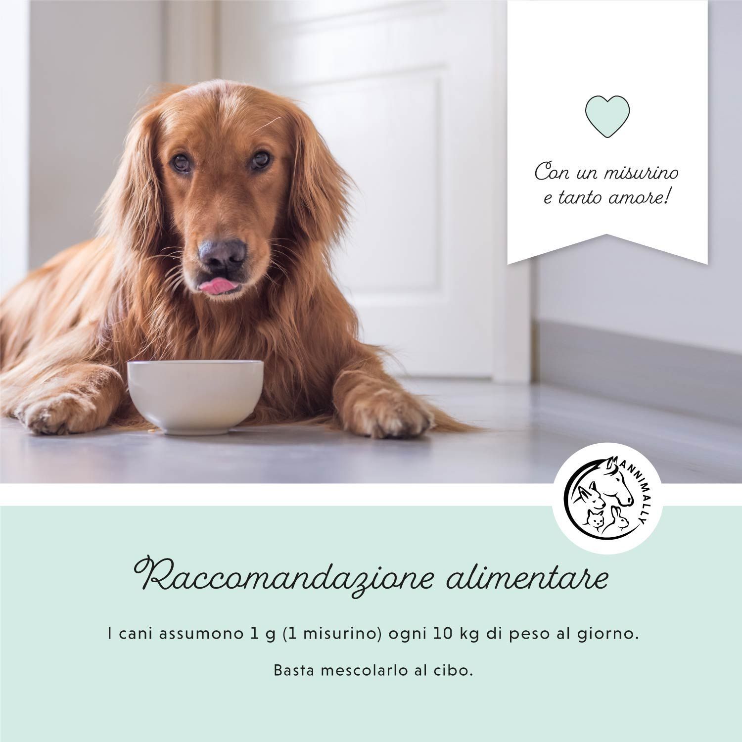 Golden Retriever con lingua fuori. Ciotola bianca. Testo: Raccomandazioni alimentari. 1g per 10 kg di peso.