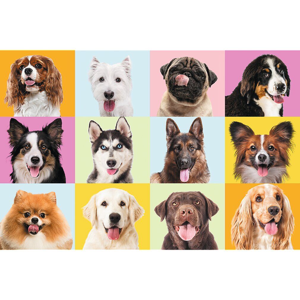 Puzzle con 12 ritratti di cani su sfondi colorati. Senza confezione.