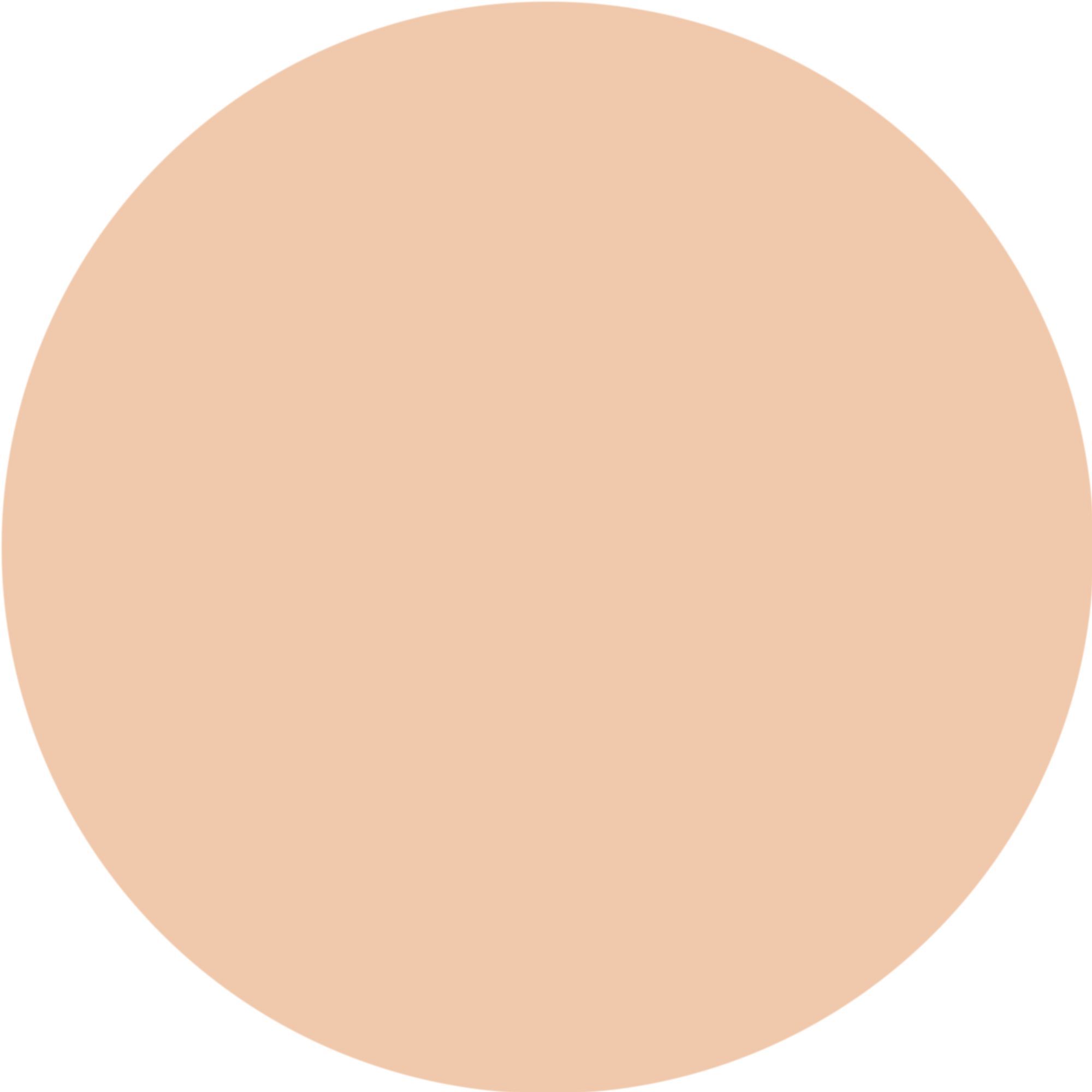 WYCON cosmetics radiant stick concealer 04 light neutral