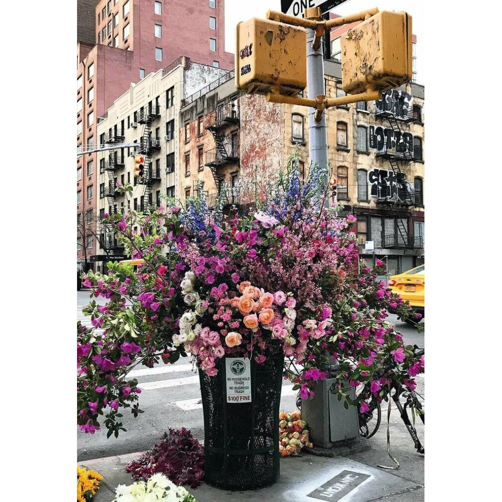 Scena di strada con composizione floreale in un cestino. Edifici sullo sfondo. Semforo e bicicletta.