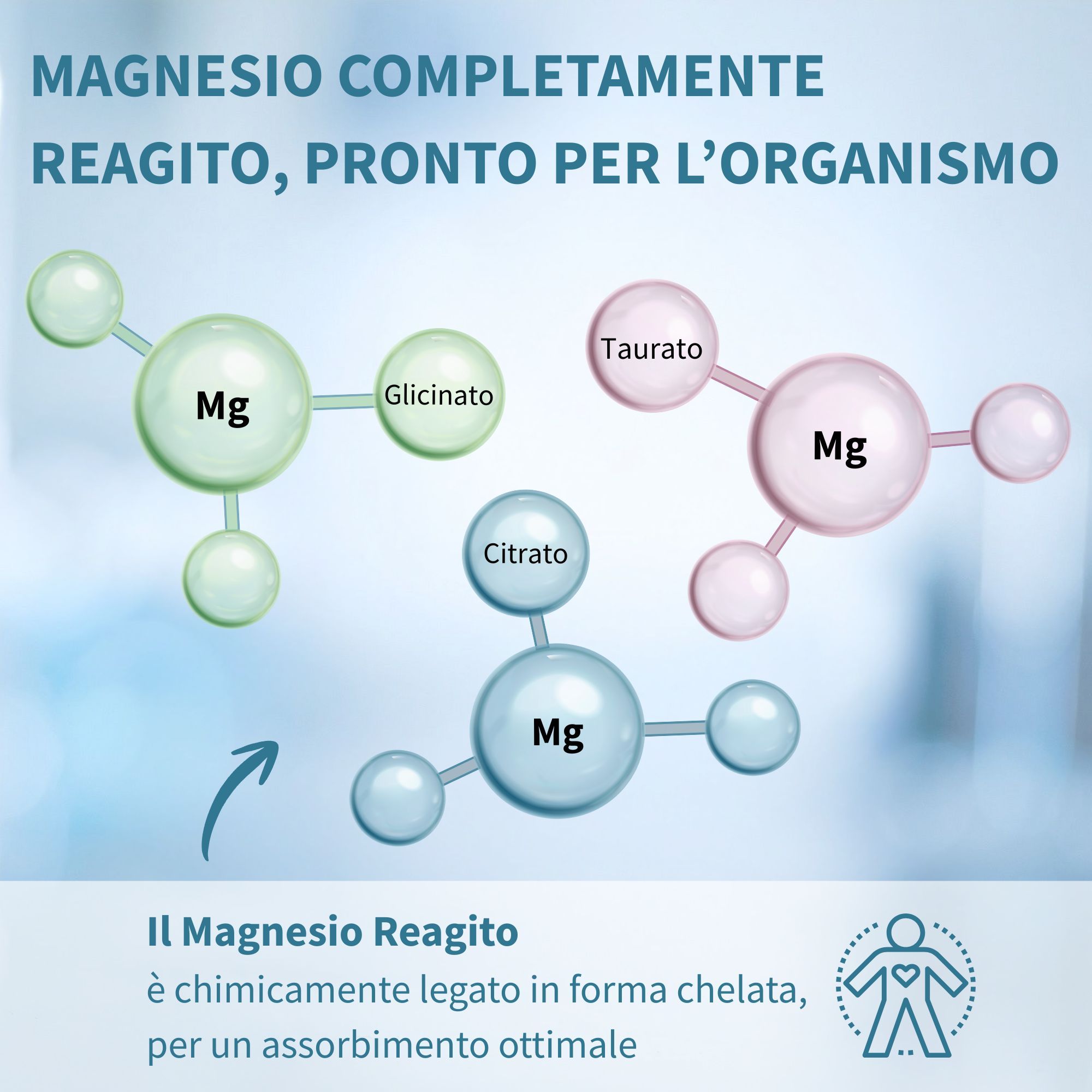 Igennus Magnesio Completo Triplo, Glicinato, Citrato e Taurato, Chelato, Vegano, Dose Ottimale