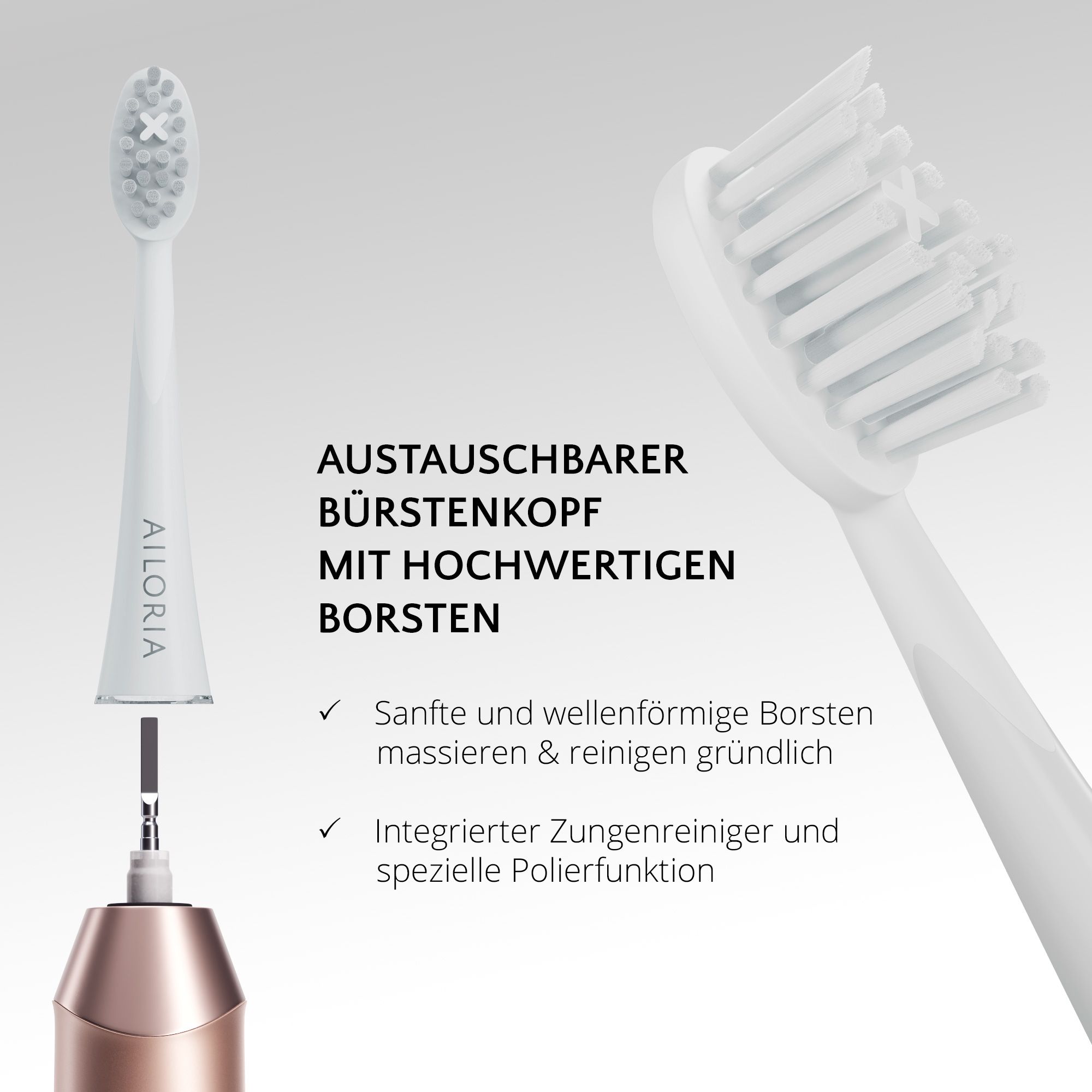 Testina sostituibile. Setole di alta qualità. Puliscilingua. Logo AILORIA.