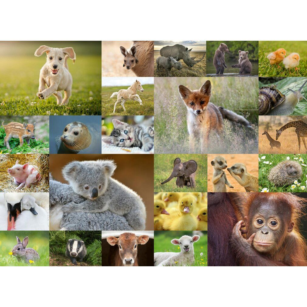 Puzzle Ravensburger Adorabili animali per bambini, . xxl