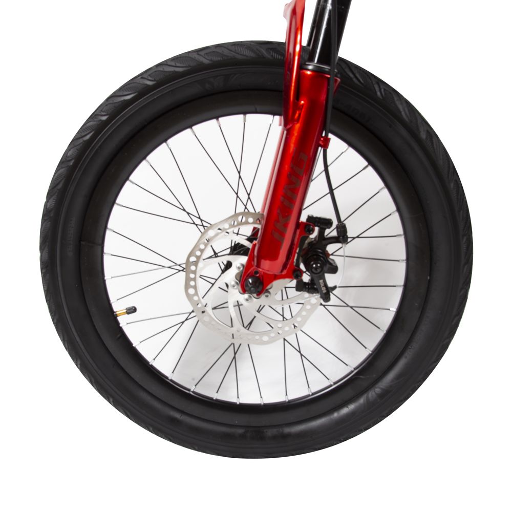 Bicicletta elettrica rossa, dettaglio ruota anteriore. Pneumatico nero, disco freno. Cerchio con raggi.