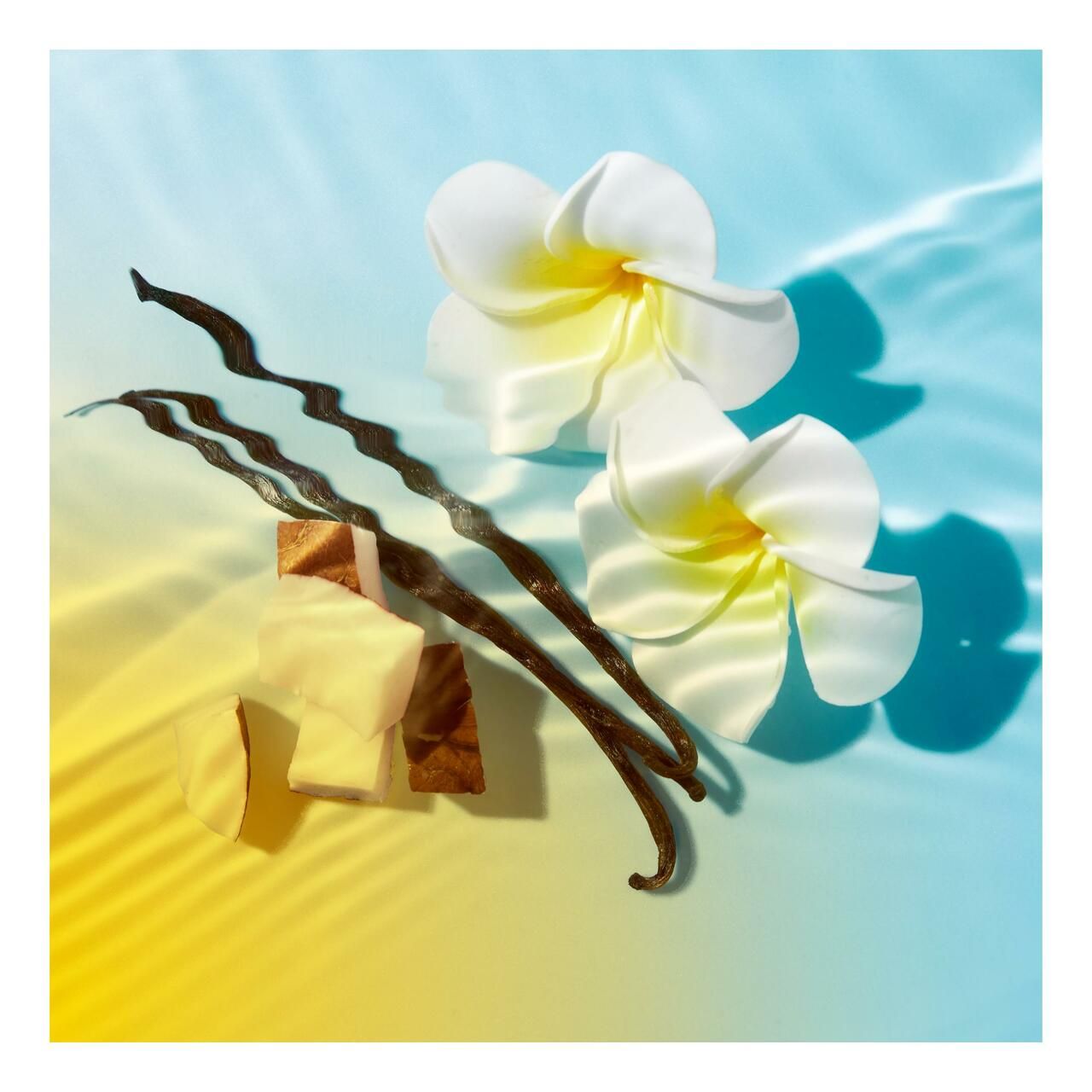 Due fiori bianchi con centri gialli, baccelli di vaniglia e cubetti color crema su sfondo blu e giallo con riflessi di luce.