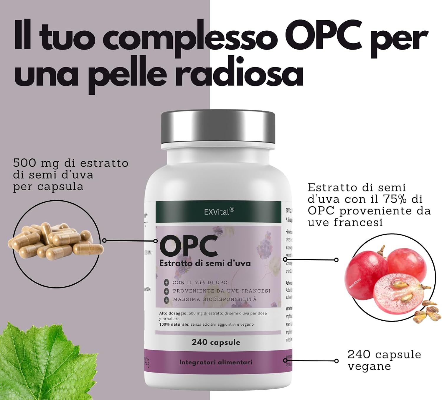 Flacone EXVital OPC estratto di semi d'uva con informazioni nutrizionali e sigilli.