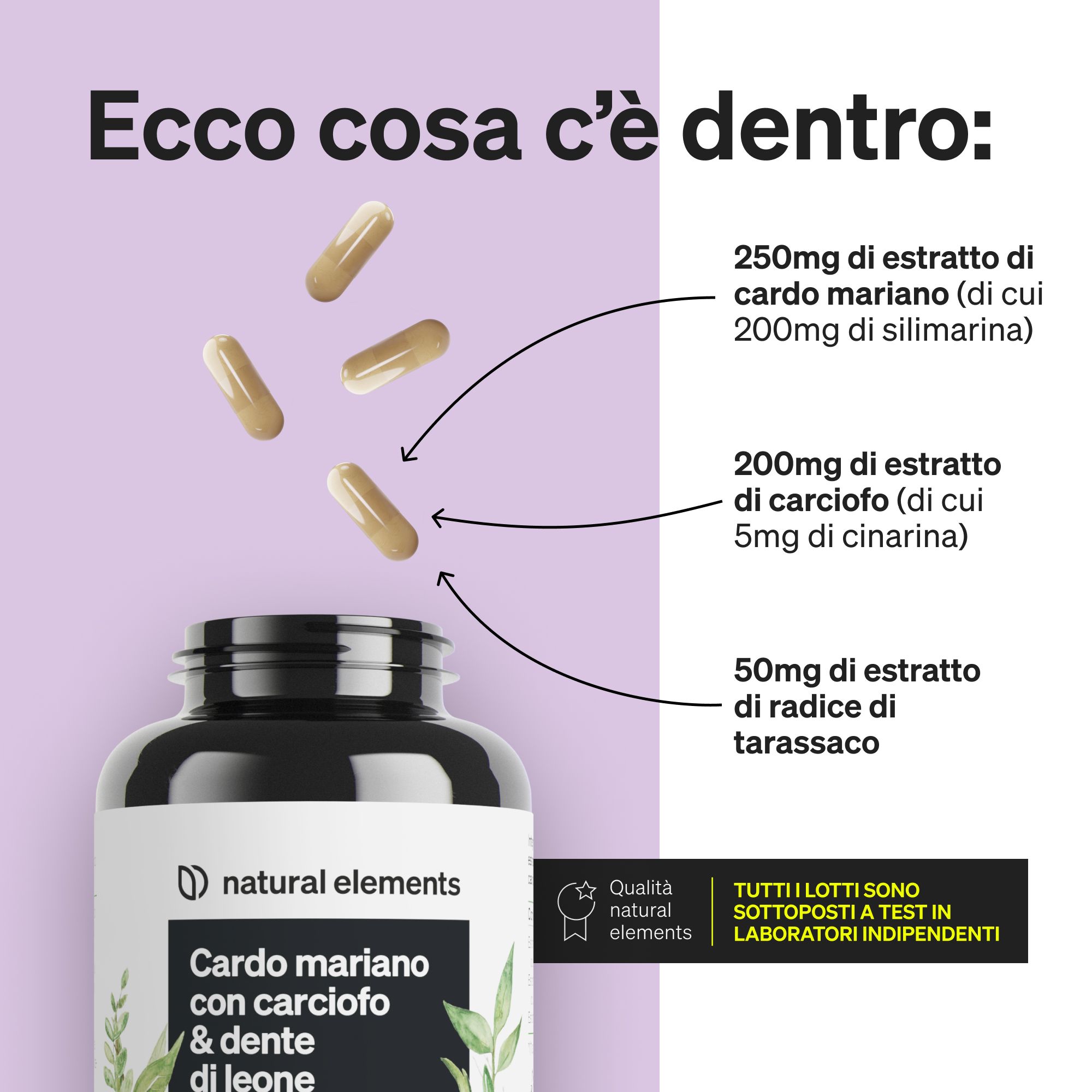Flacone di capsule. Contiene 250mg estratto di cardo mariano (200mg silimarina), 200mg estratto di carciofo (5mg cinarina), 50mg estratto di tarassaco.