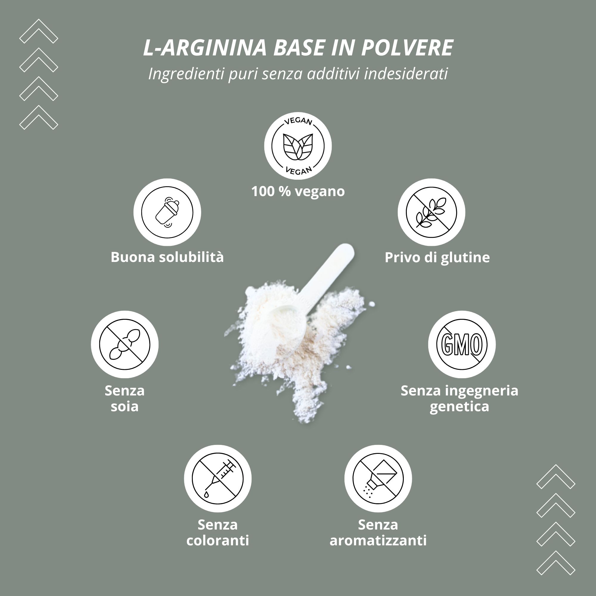 Grafica con simboli. L-Arginina Base in polvere. 100% vegano, senza glutine, senza OGM, senza coloranti.