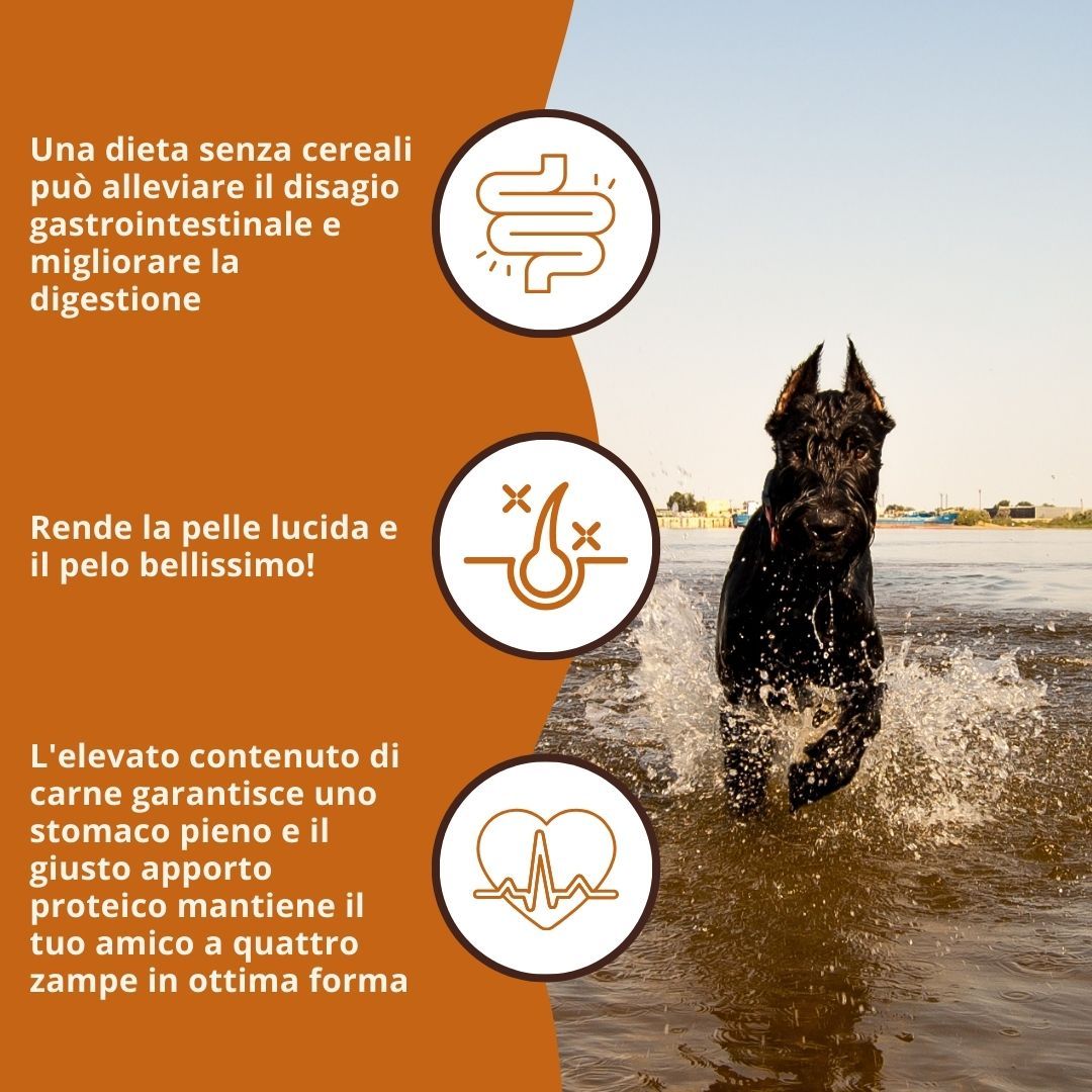 Cane che corre nell'acqua. Testo: Senza cereali, migliora la digestione, la pelle e il pelo, alto contenuto di carne.