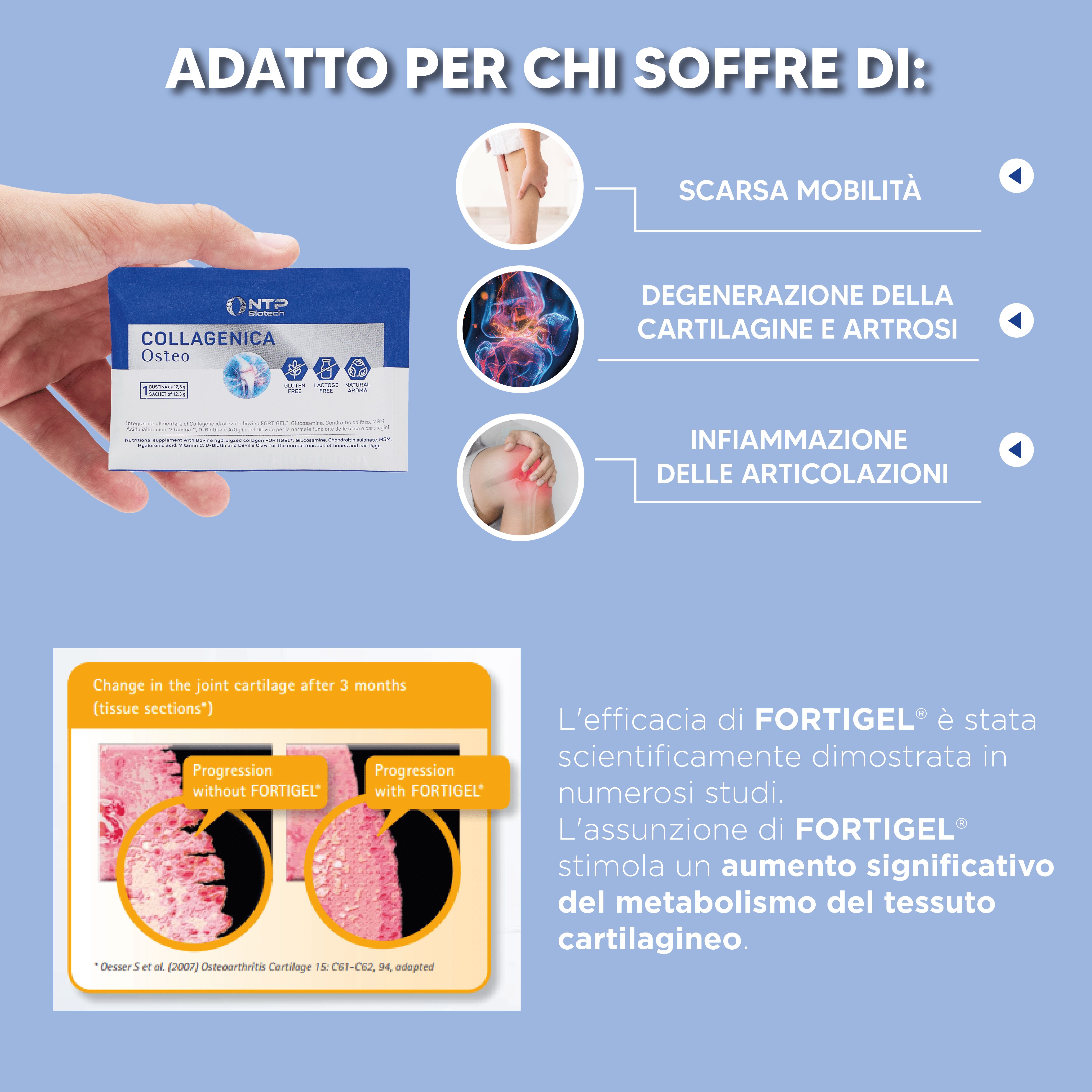 NTP BIOTECH Collagenica Osteo per articolazioni, ossa e cartilagine