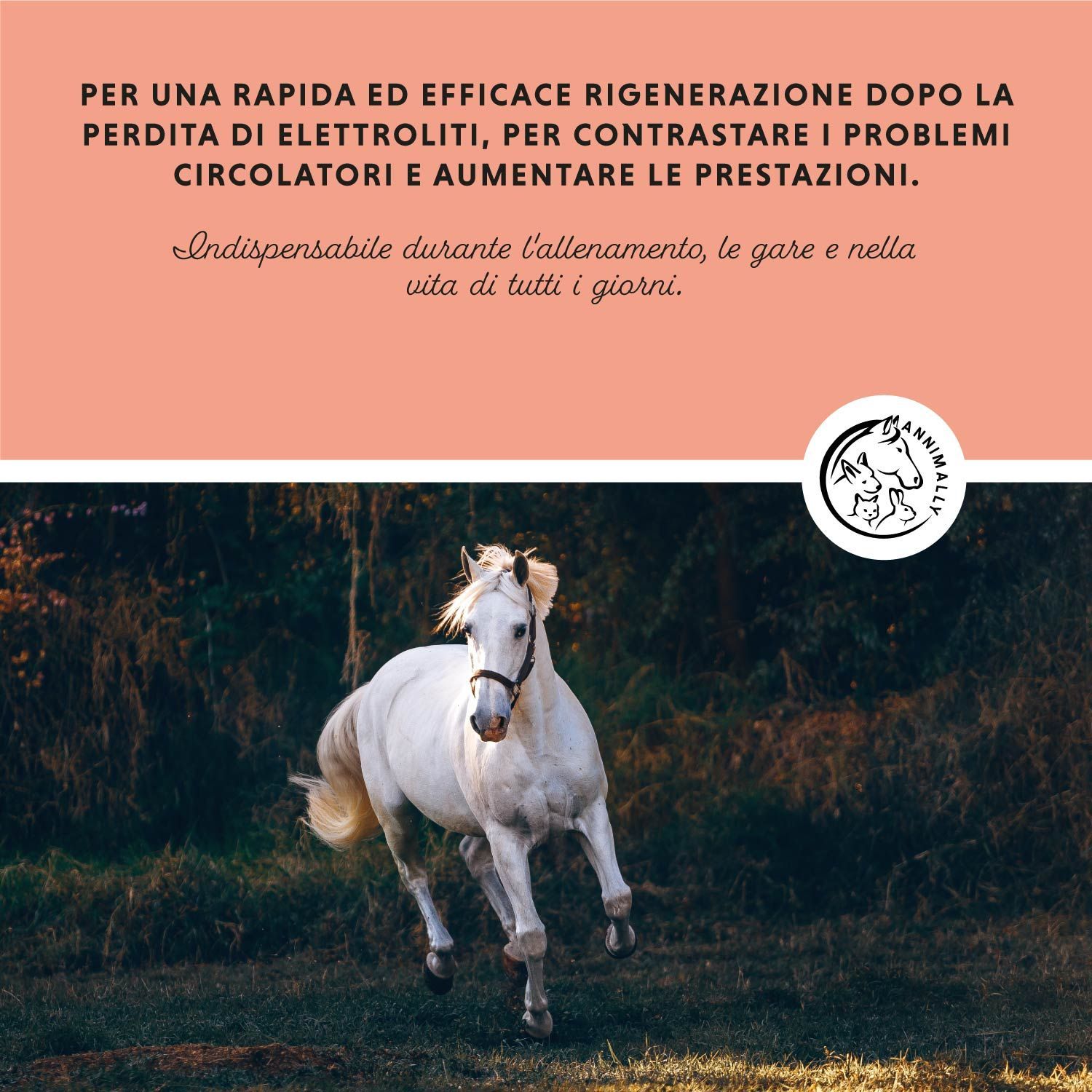 Cavallo bianco che corre. Testo: Per una rapida rigenerazione dopo la perdita di elettroliti. Indispensabile in allenamento, in gara e nella vita quotidiana.