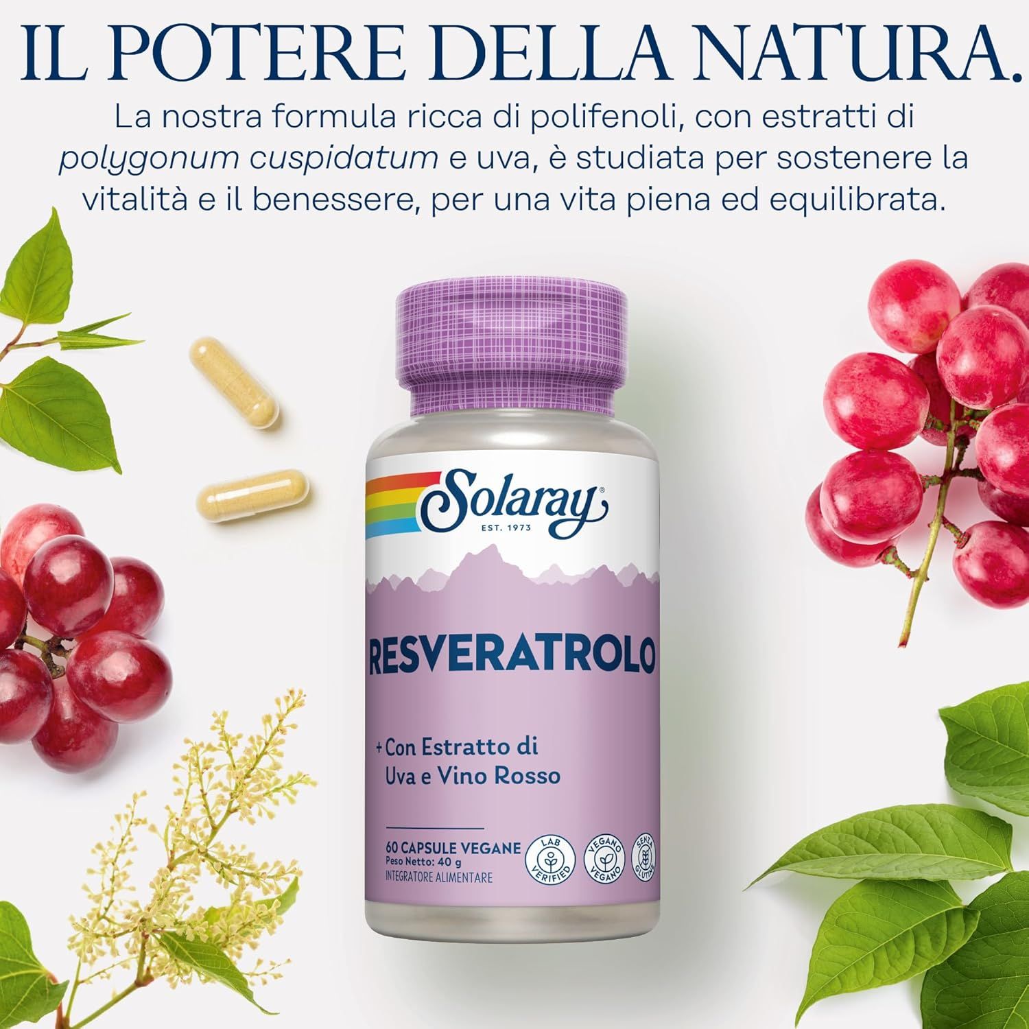 Solaray Capsule Resveratrol Complex Solaray