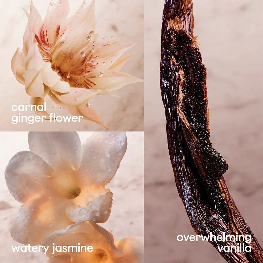 Primi piani di fiore di zenzero, fiore di gelsomino e baccello di vaniglia. Testo: carnal ginger flower, watery jasmine, overwhelming vanilla.