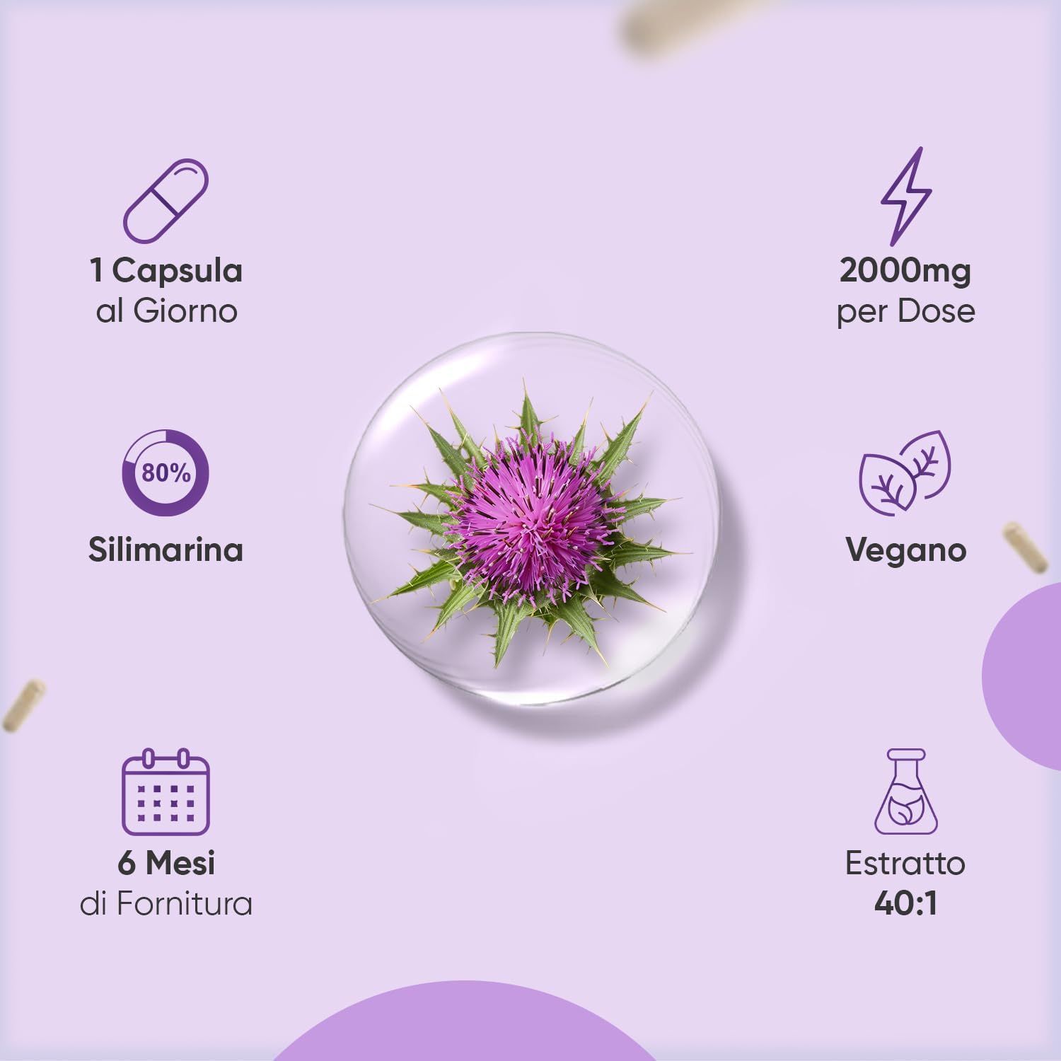 Grafica con icone e fiore di cardo mariano. 1 capsula al giorno, 2000mg per dose, 80% silimarina, vegano, 6 mesi di fornitura, estratto 40:1.