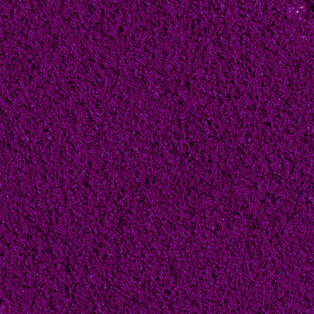 IoBoscoVivo Ribes nero liofilizzato in polvere bio, senza allergeni