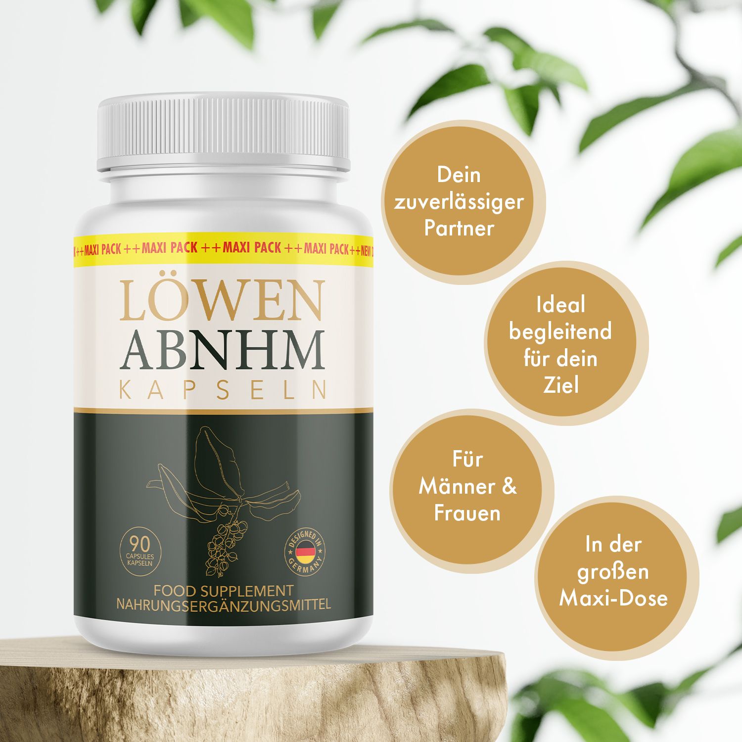 Barattolo LÖWEN ABNEHM KAPSELN su base in legno con cerchi: Partner, Obiettivo, Uomini & Donne, Maxi-Dose.