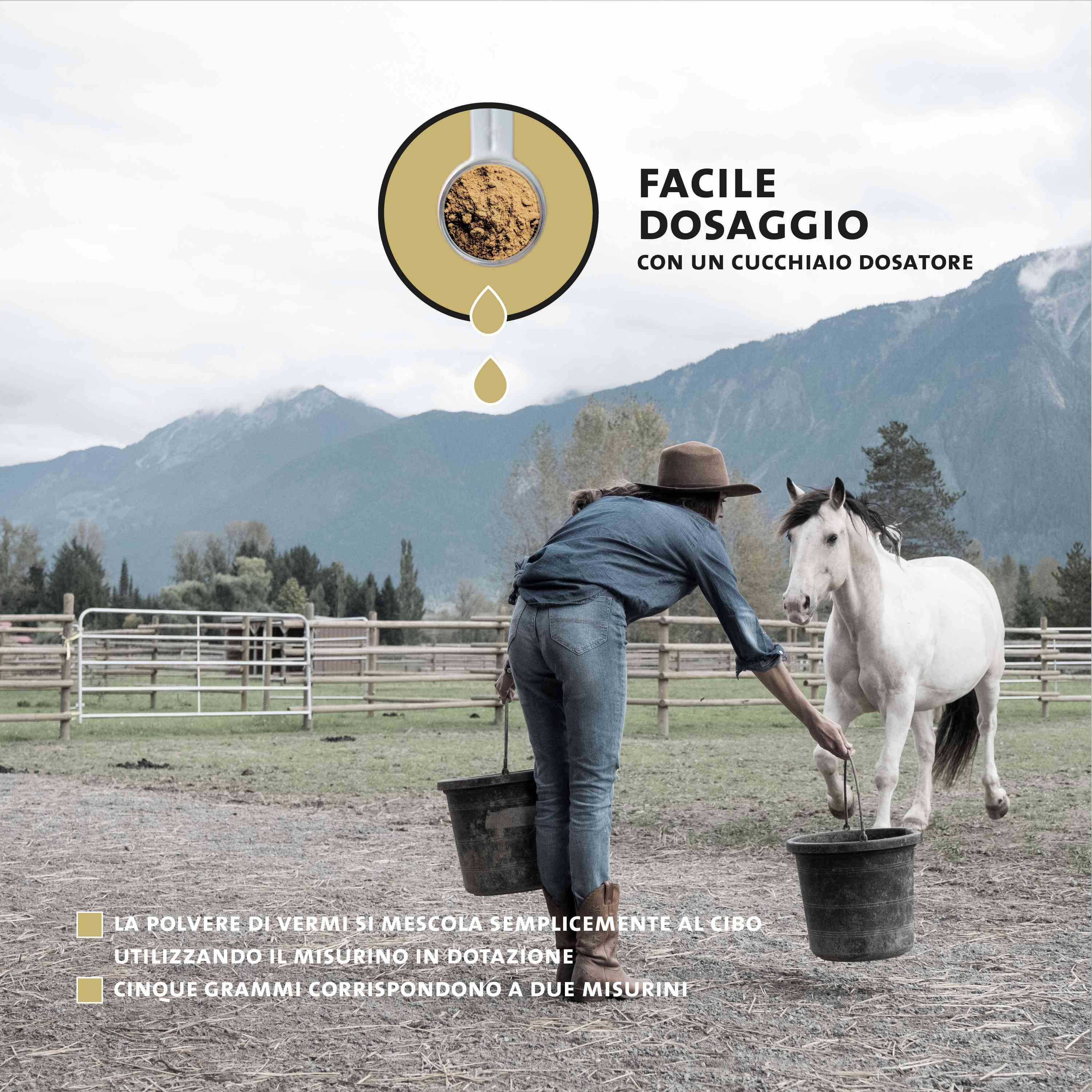 Cavallo viene nutrito con mangime in polvere, dosaggio facile con misurino.
