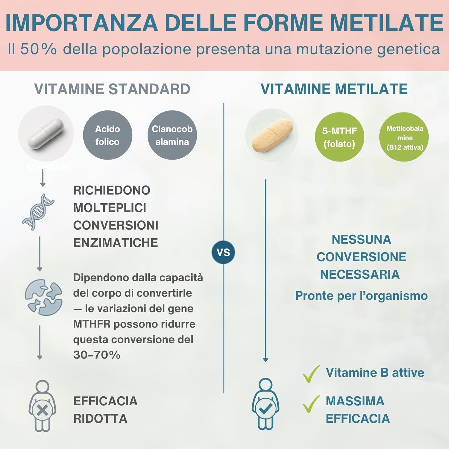 Confronto tra vitamine standard e metilate, che evidenziano la necessità di conversioni enzimatiche e l'efficacia.