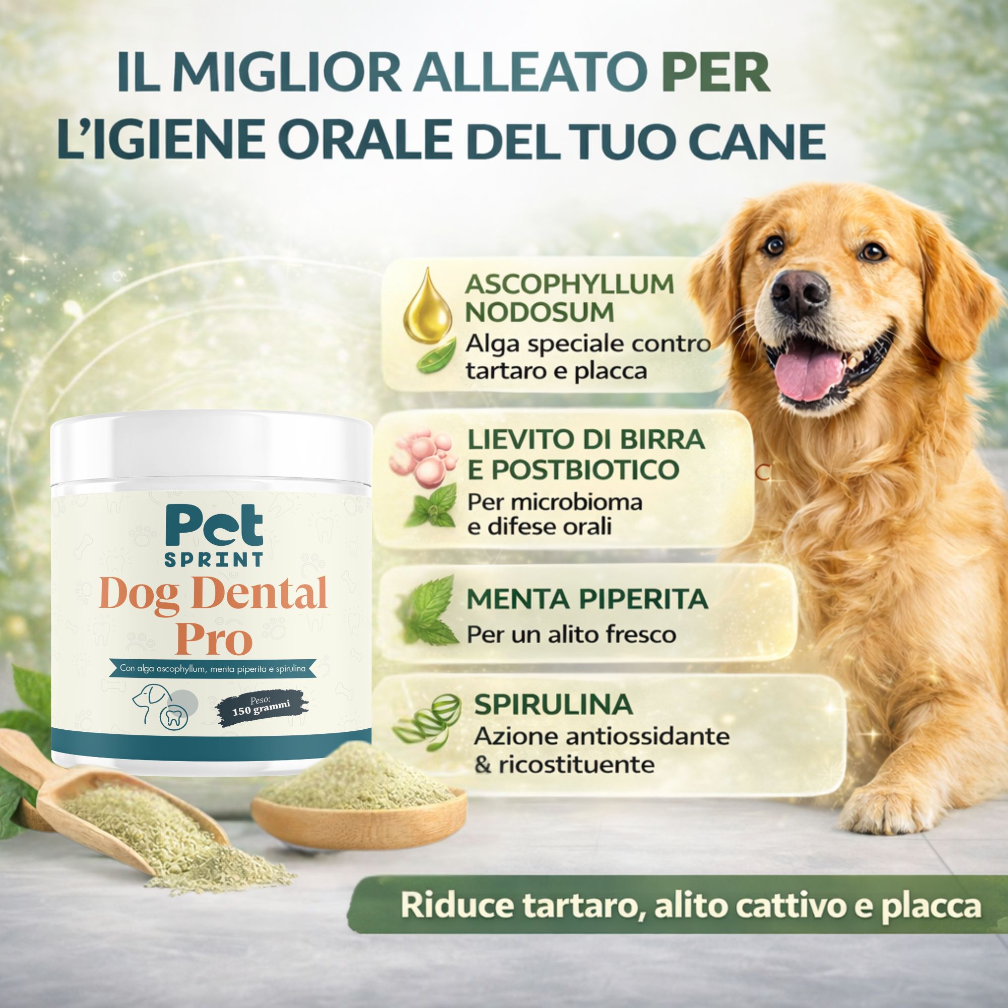 Dog Dental PRO Polvere Pulizia Denti